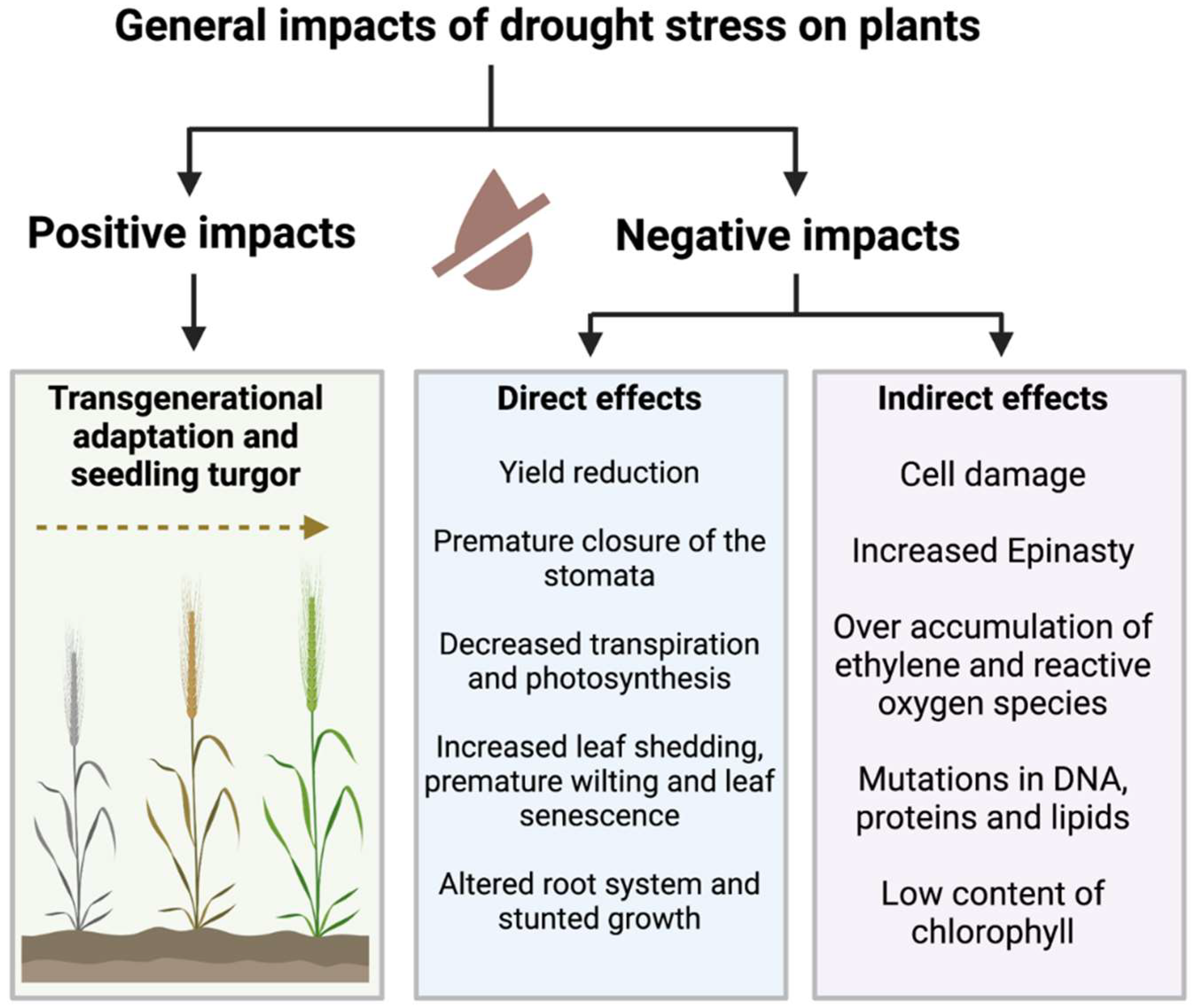Plants 11 03090 g001