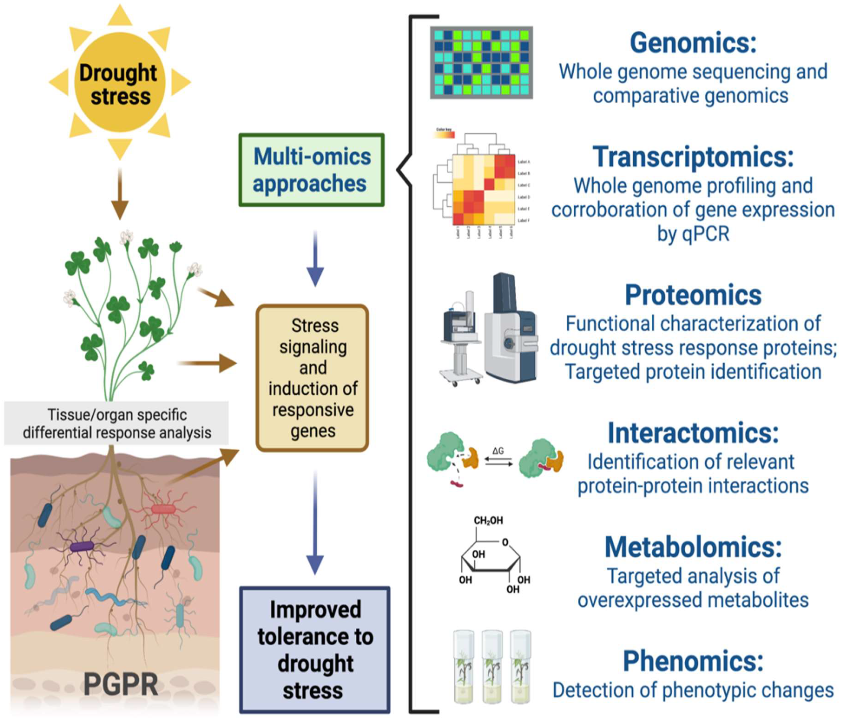 Plants 11 03090 g003