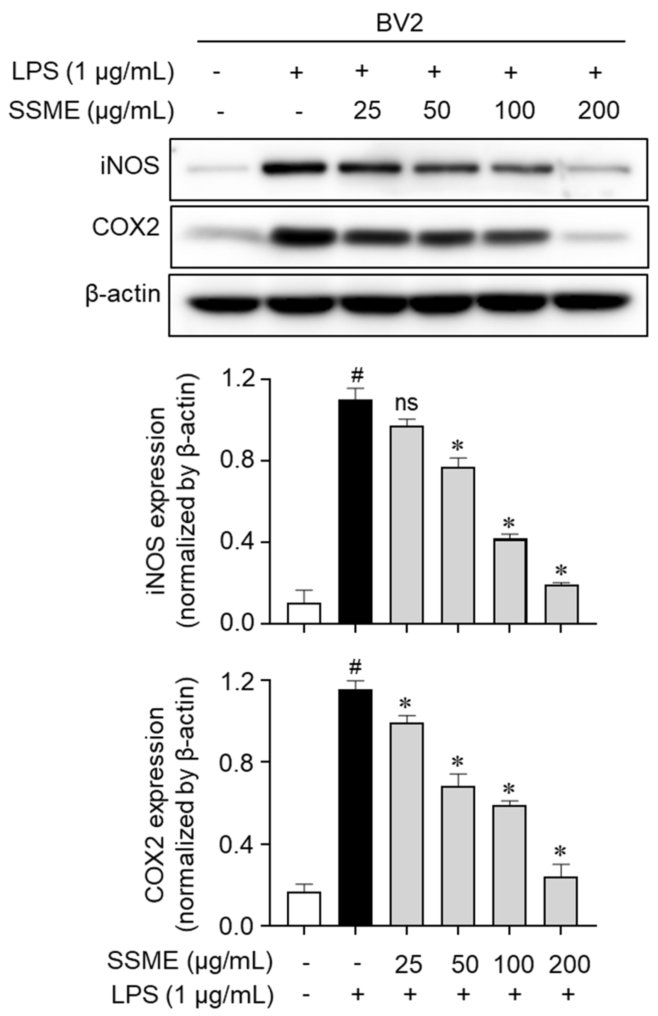 Plants 11 03095 g004