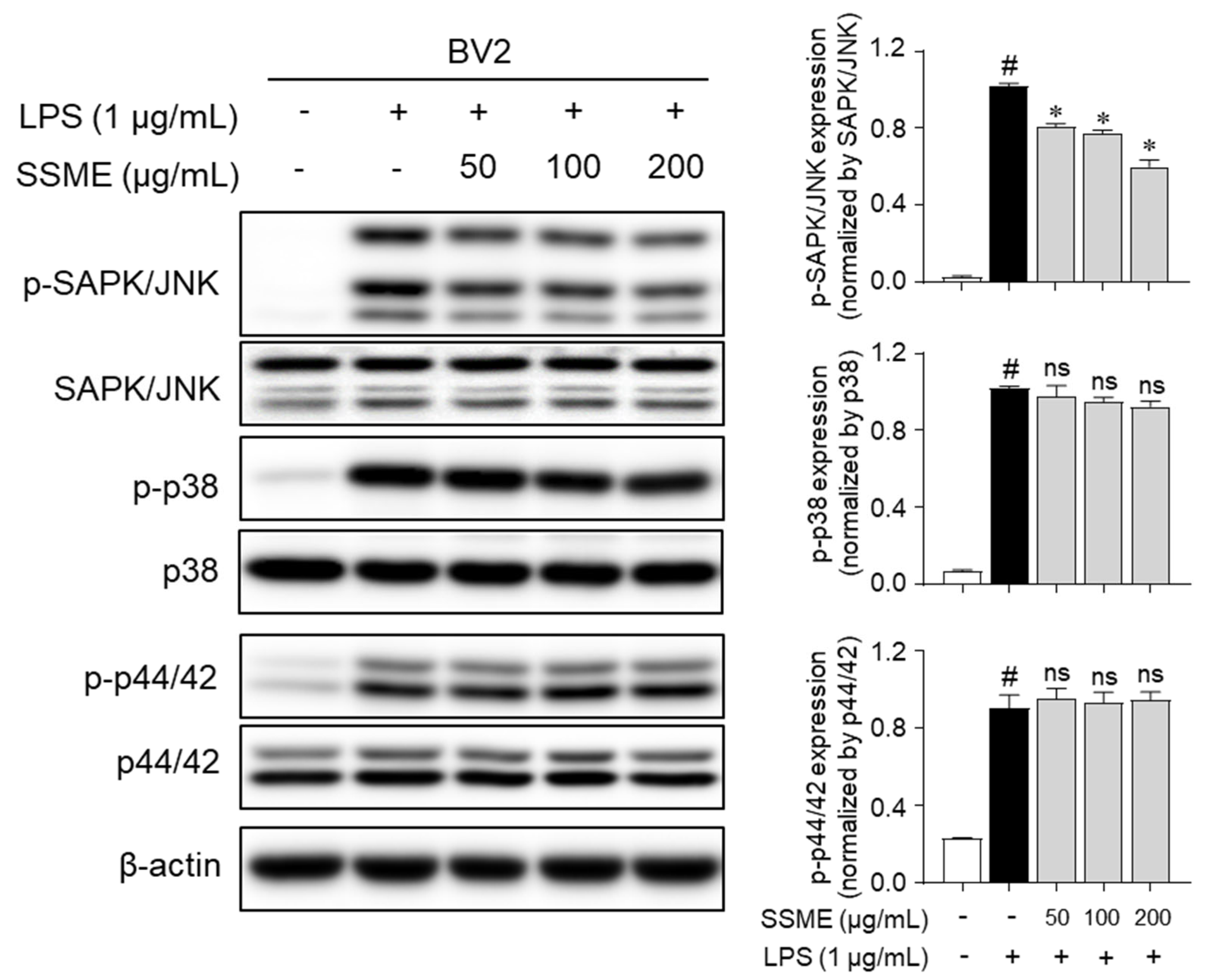 Plants 11 03095 g006