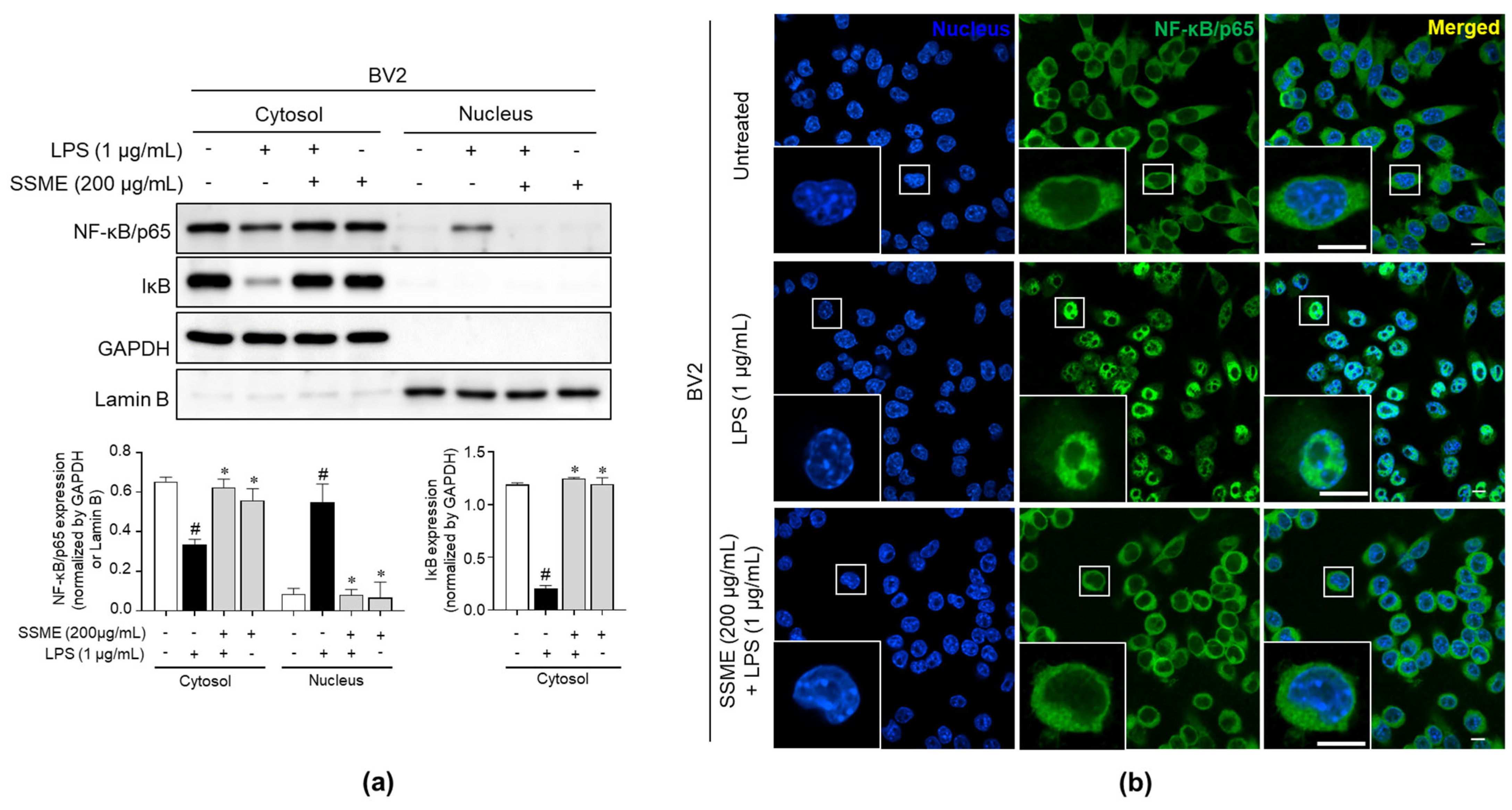 Plants 11 03095 g007