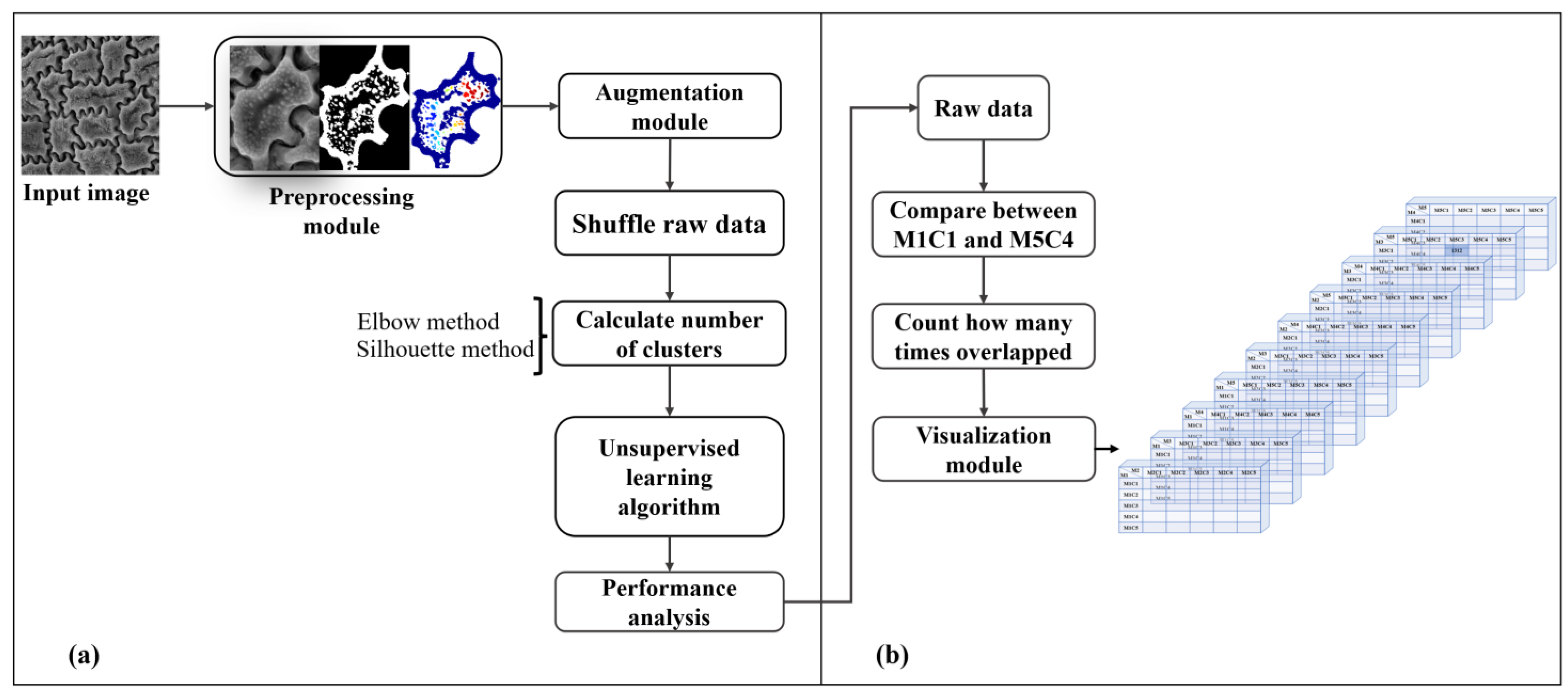Plants 11 03097 g008