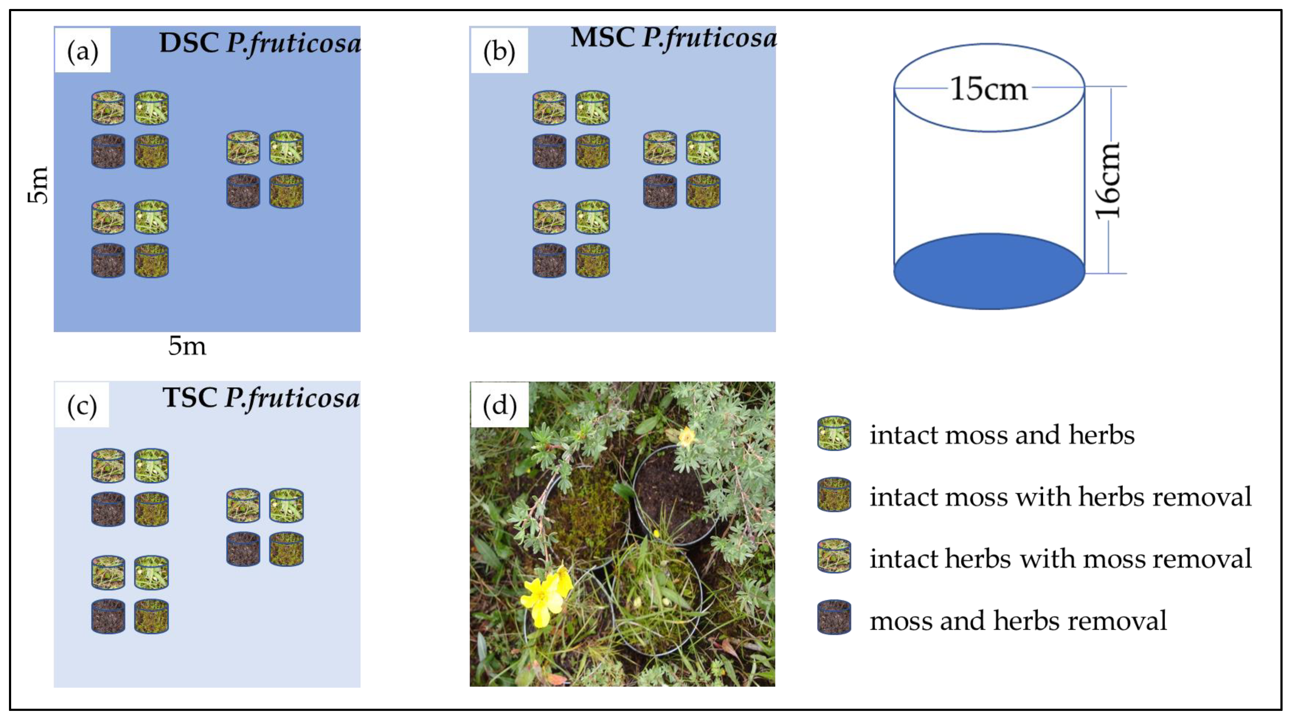 Plants 11 03111 g005