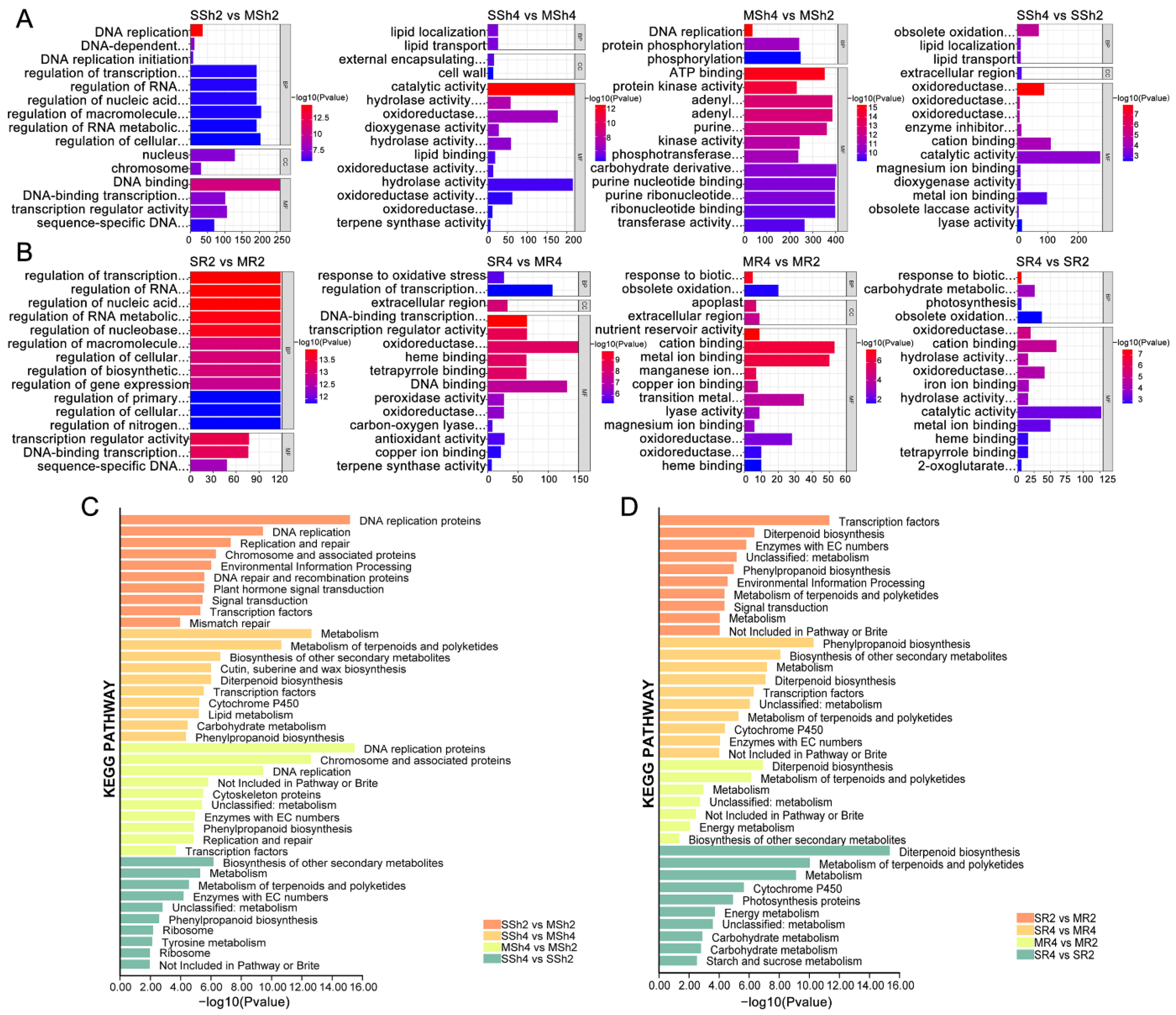 Plants 11 03114 g004