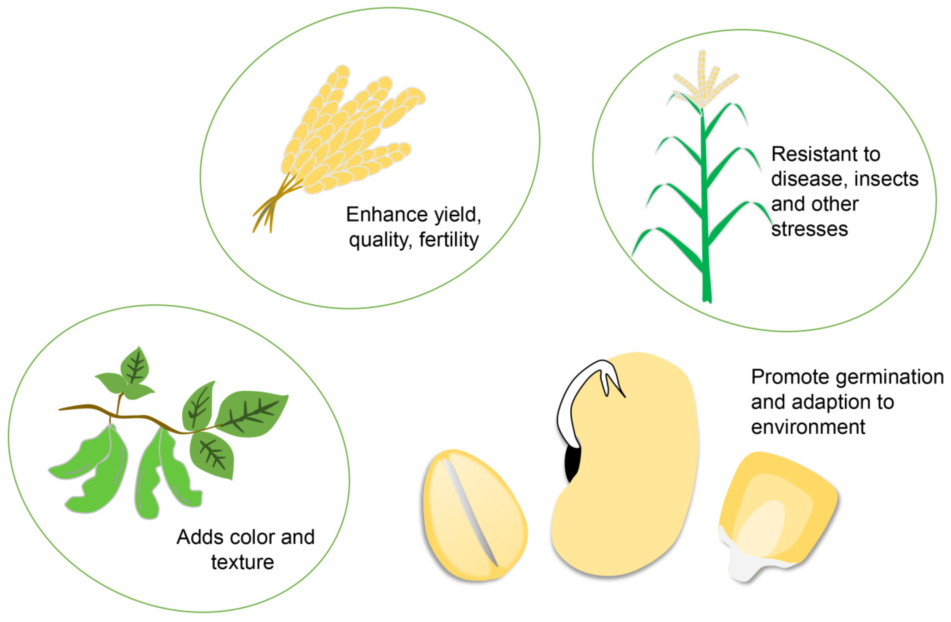 Plants 11 03118 g001