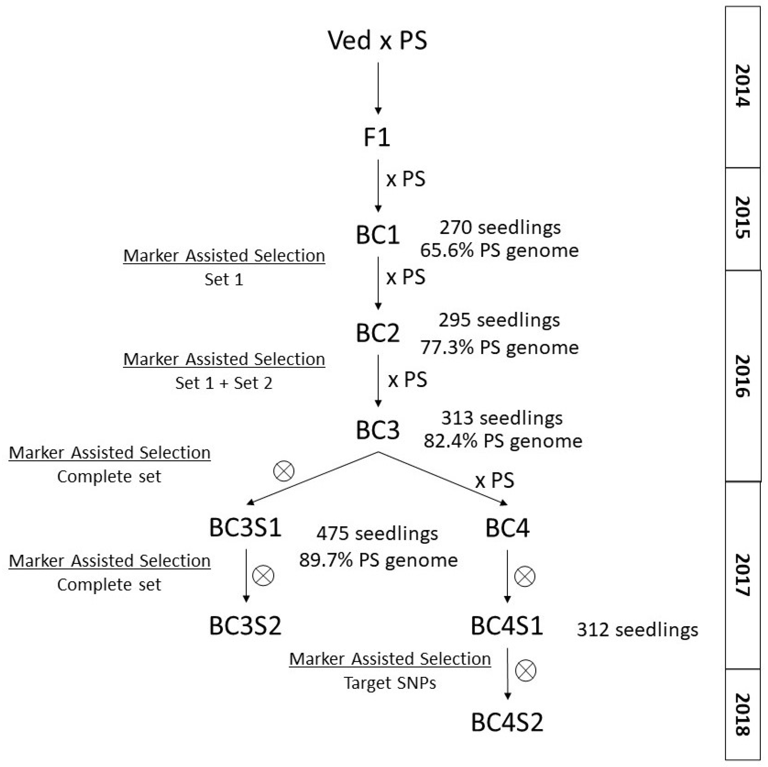 Plants 11 03120 g002