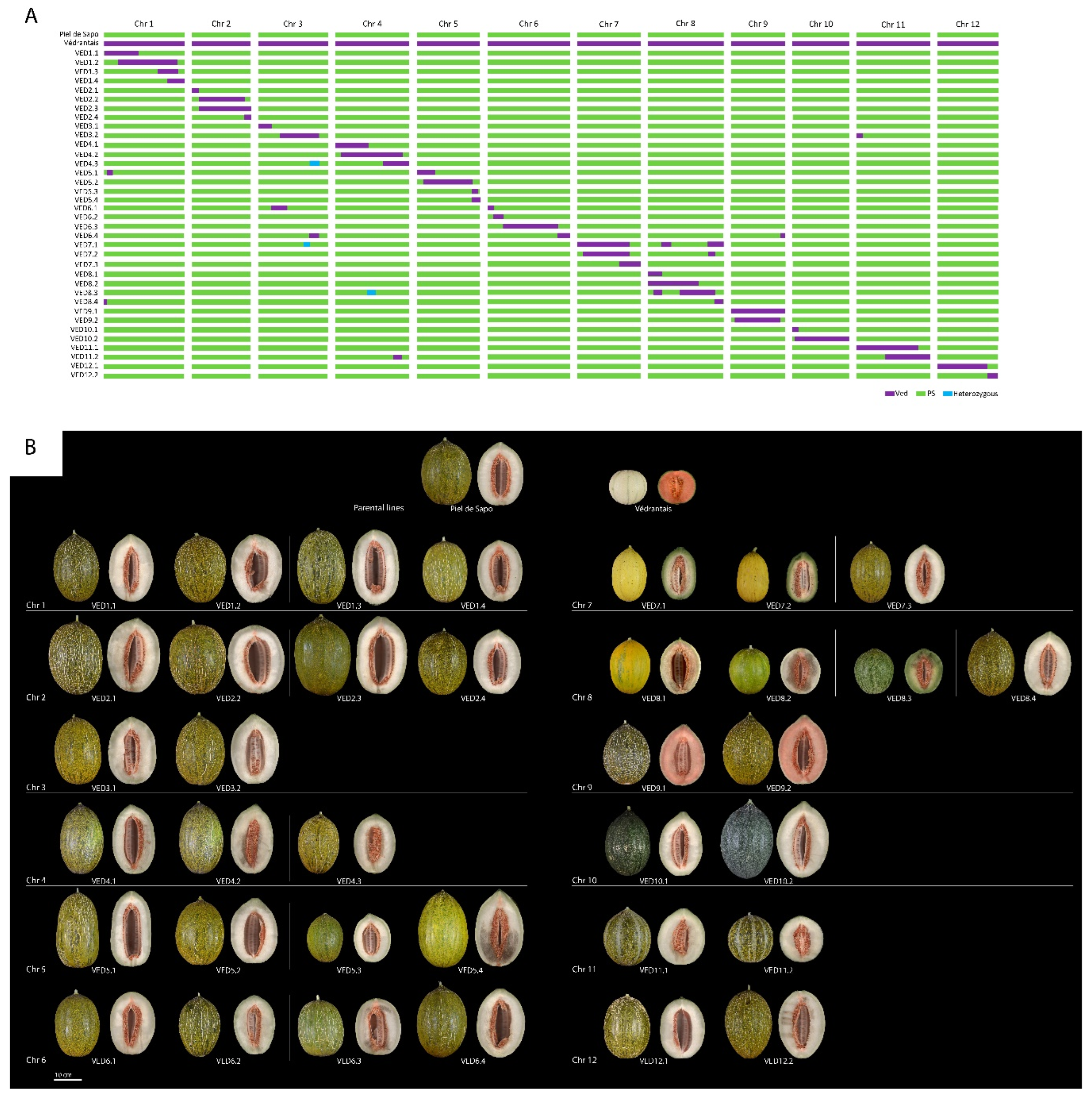 Plants 11 03120 g003