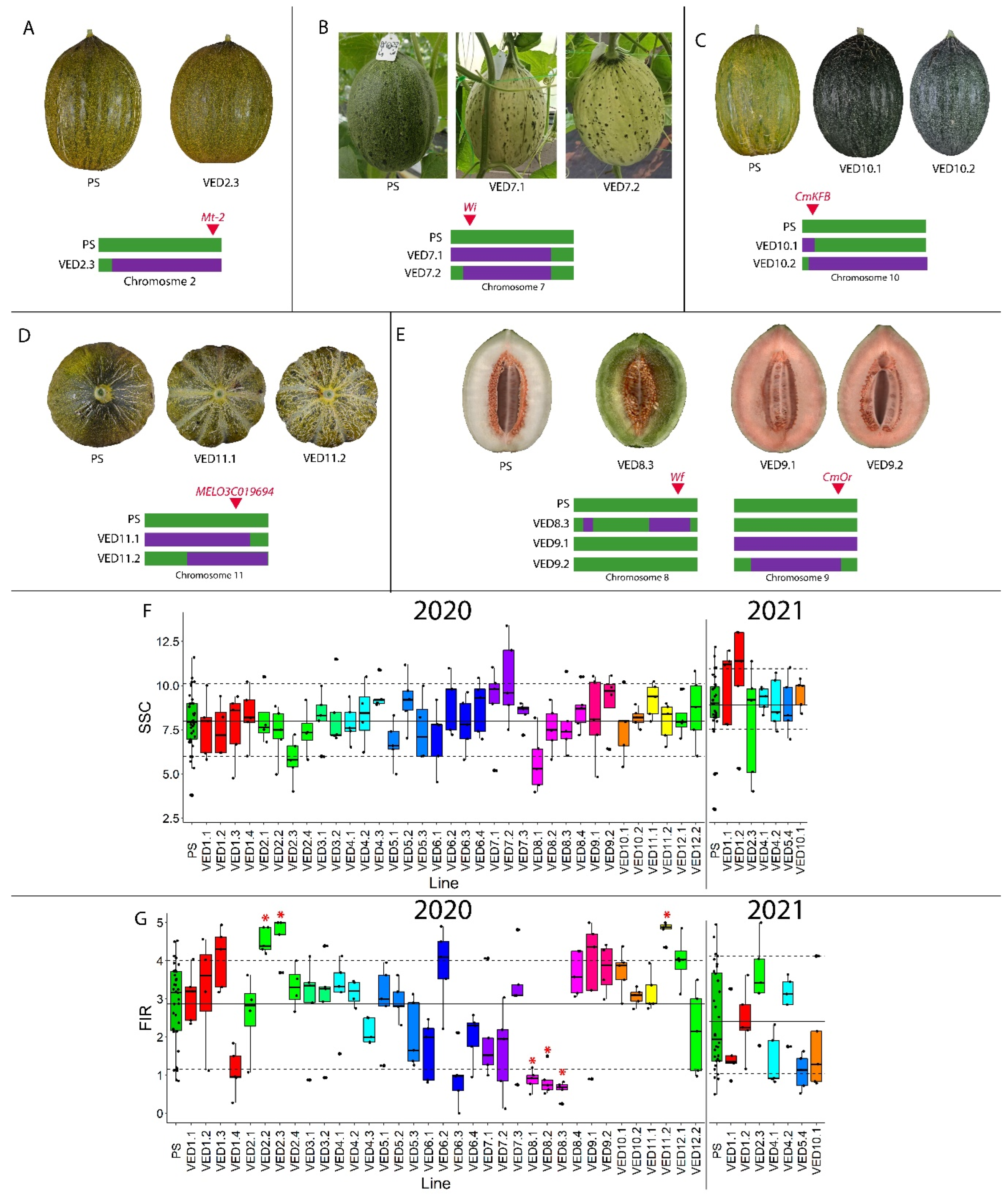 Plants 11 03120 g004
