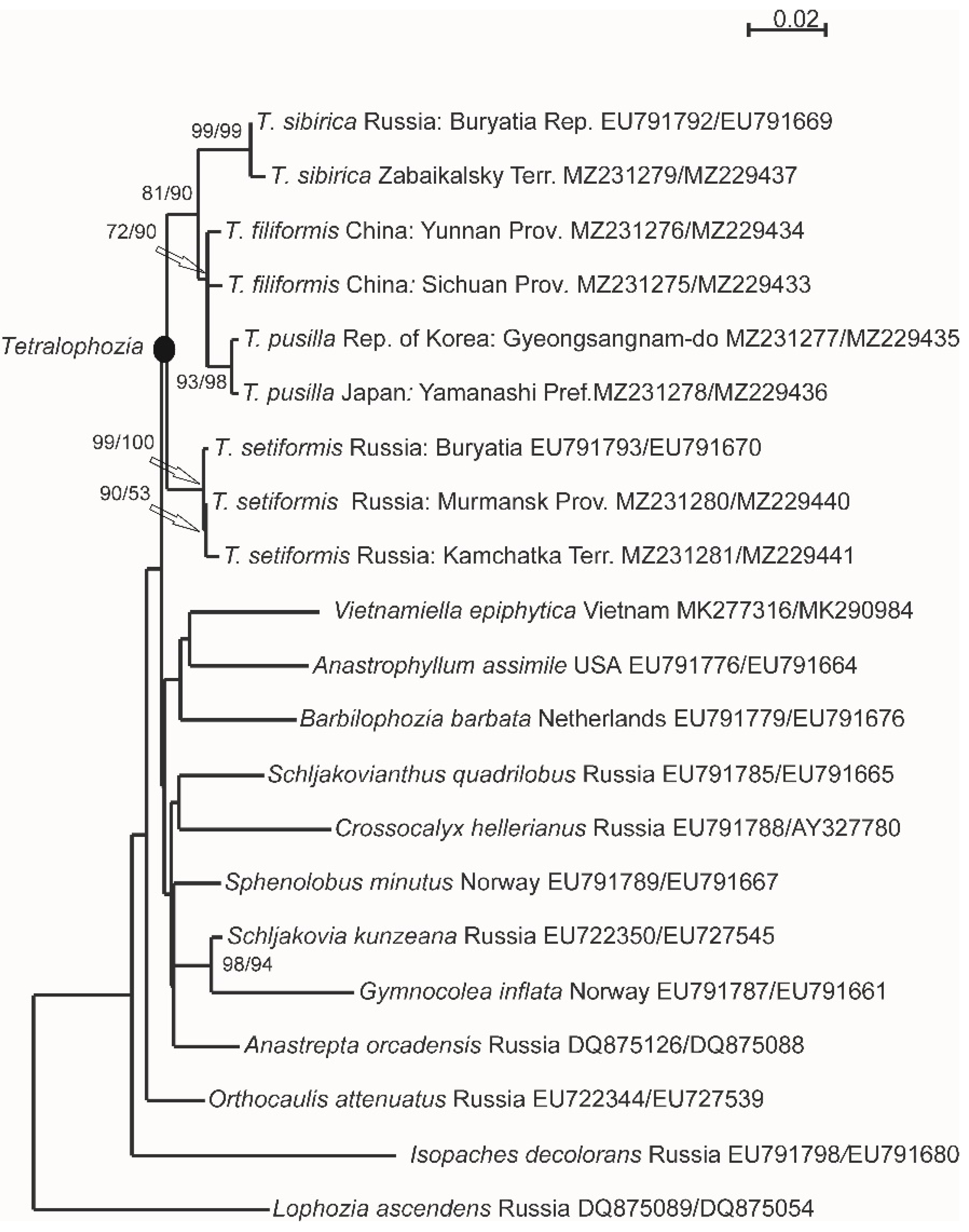 Plants 11 03121 g001
