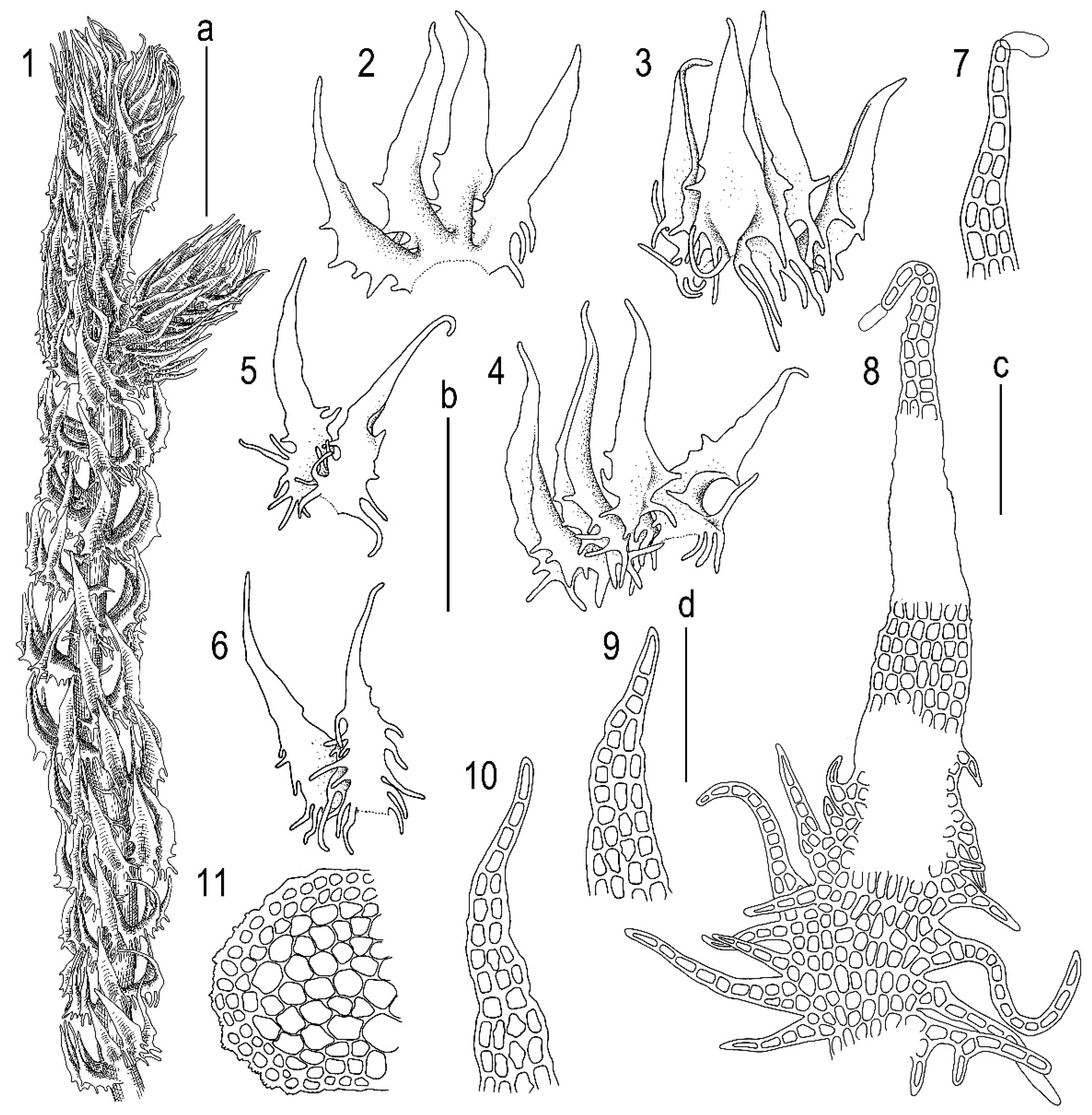 Plants 11 03121 g006