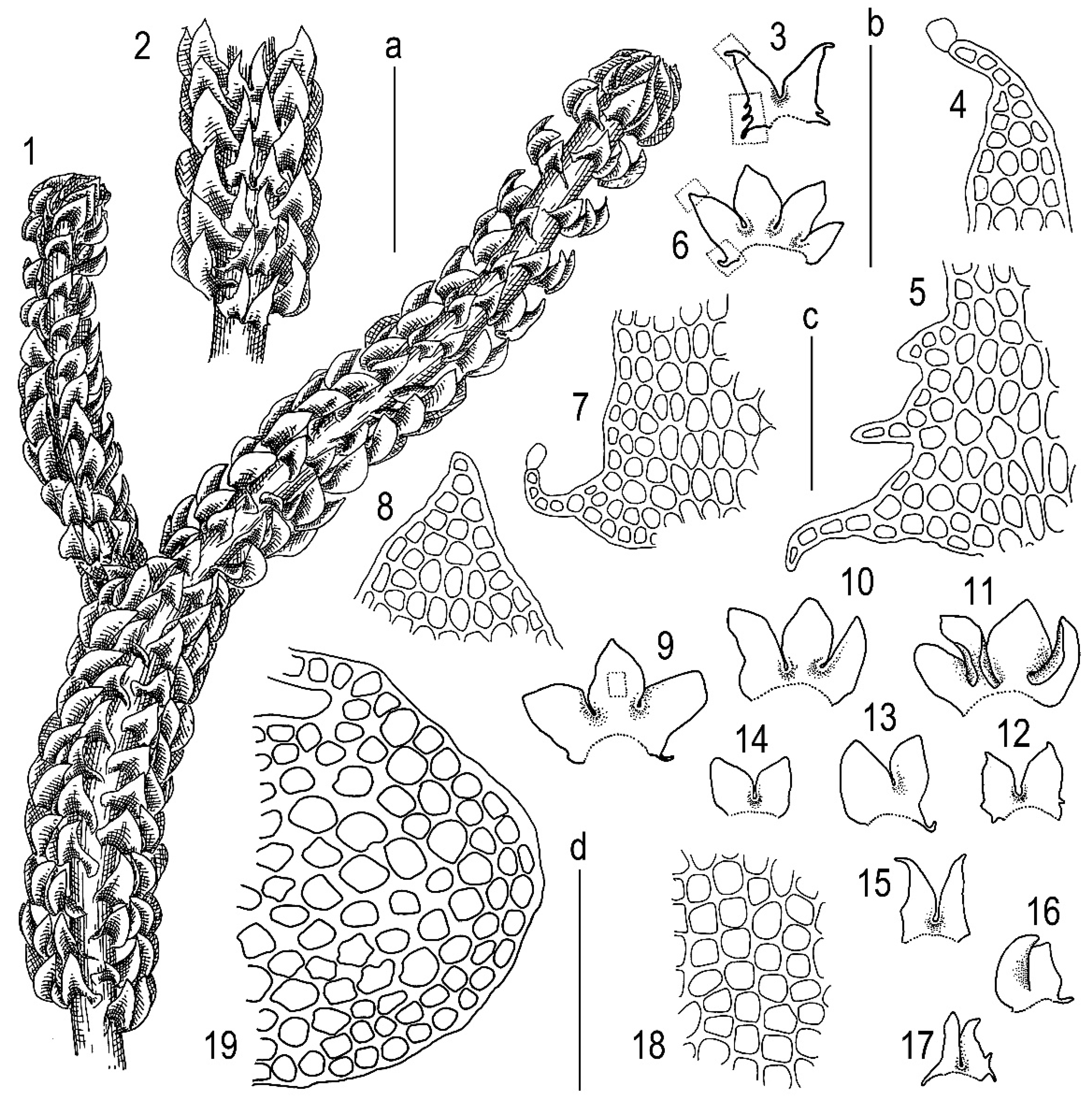 Plants 11 03121 g015