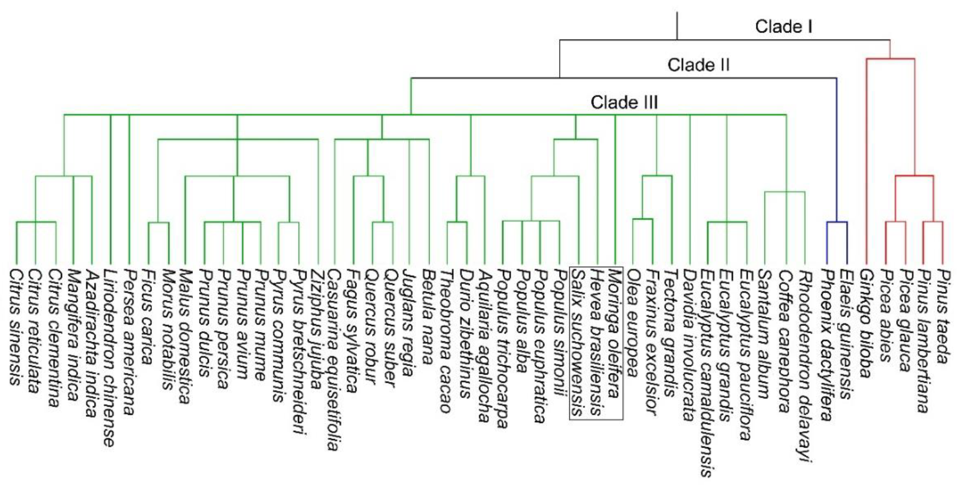 Plants 11 03132 g002