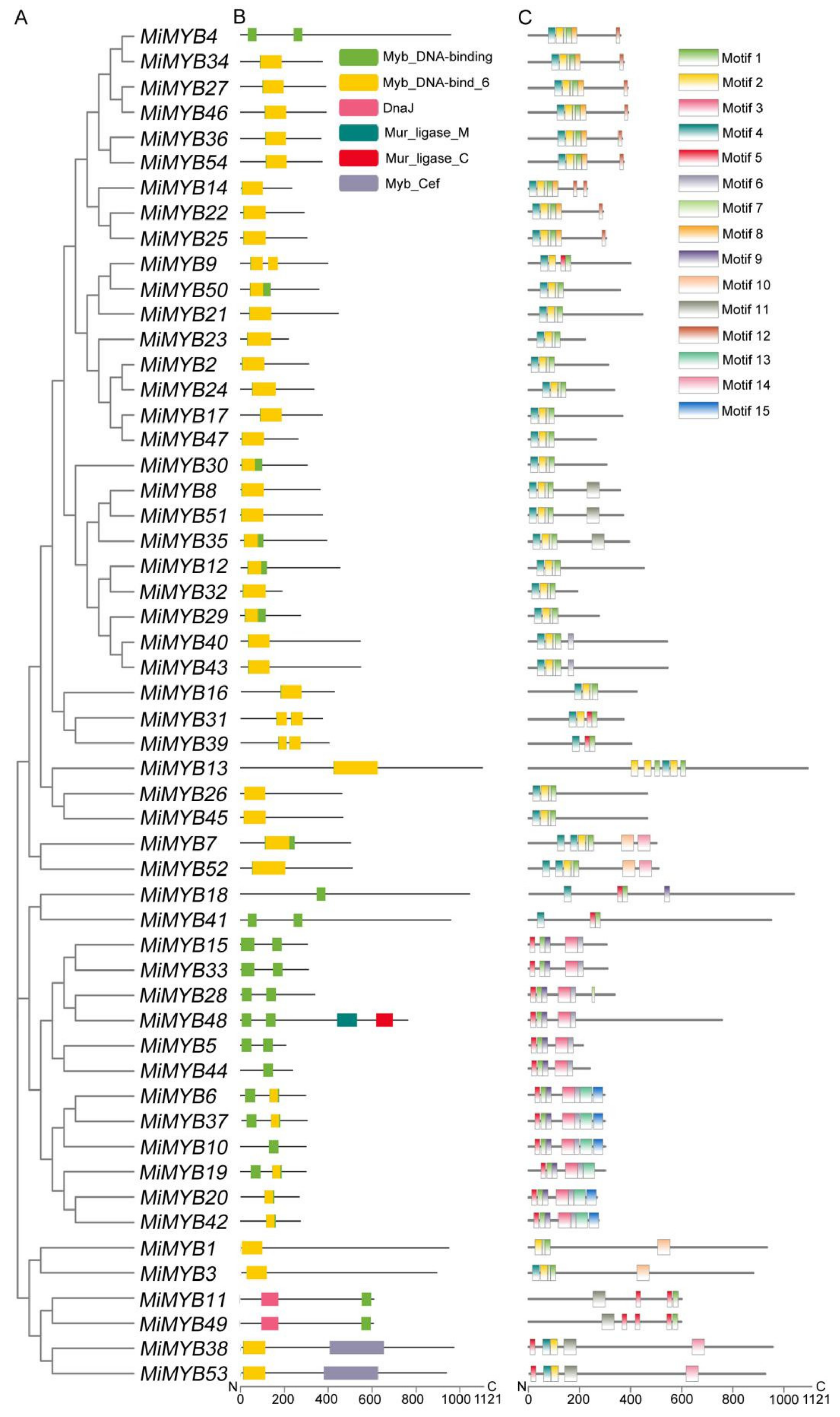 Plants 11 03141 g002