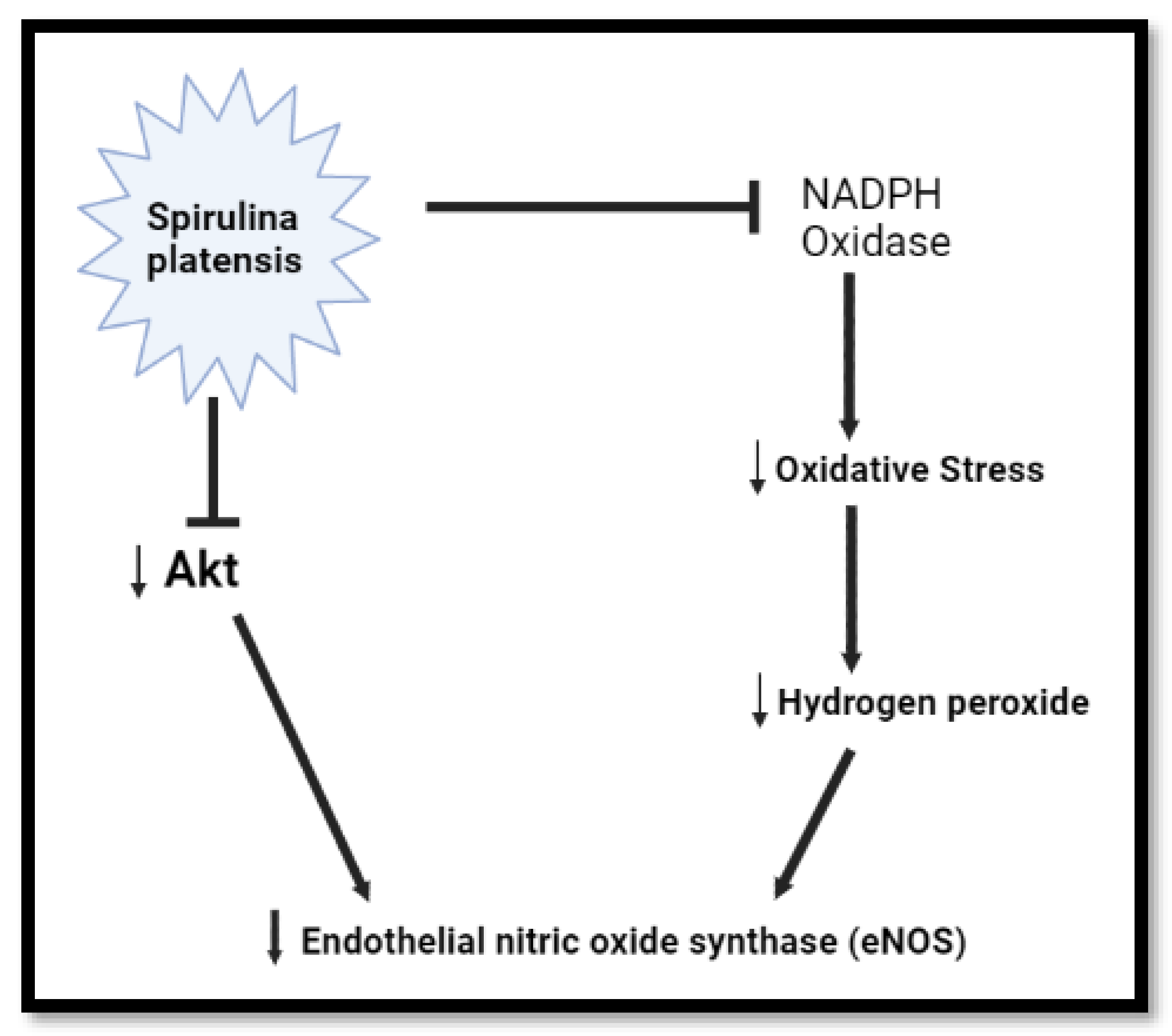 Plants 11 03143 g003 Plants 11 03143 g003