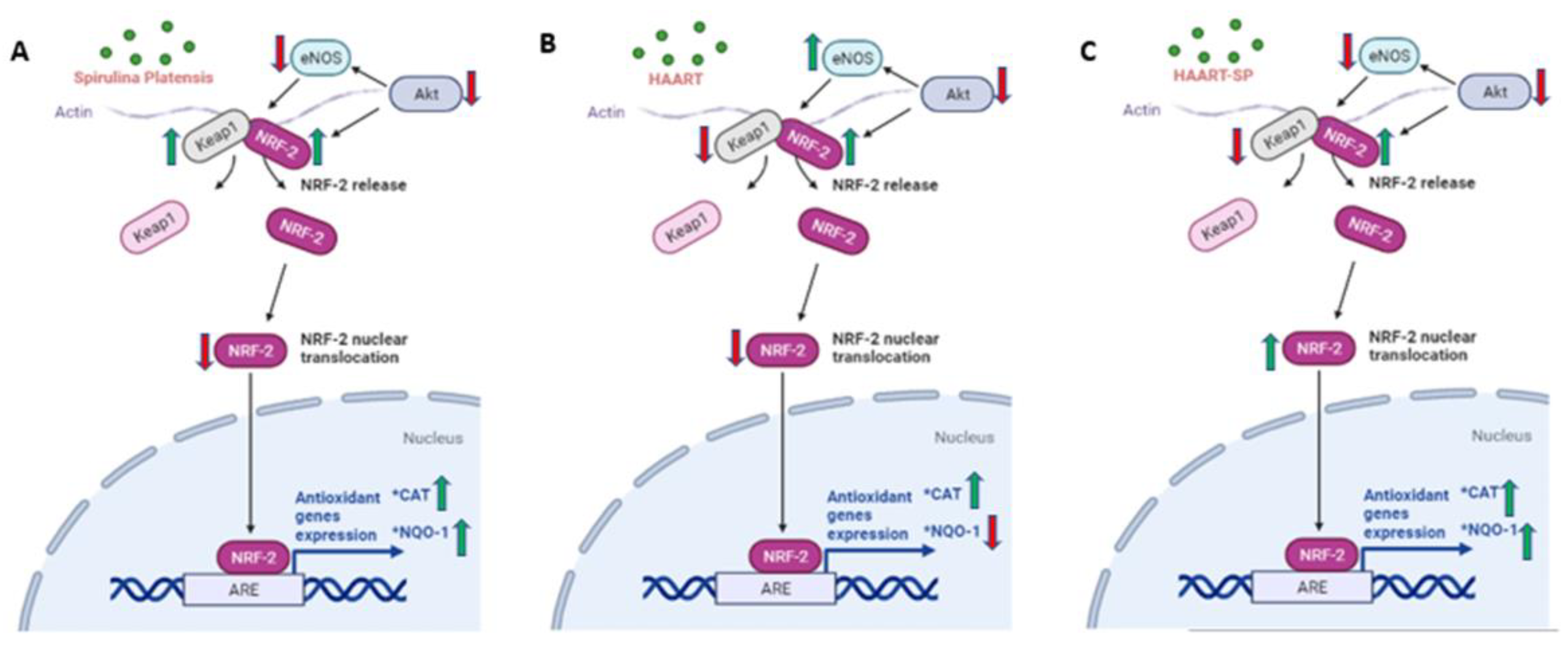 Plants 11 03143 g009 Plants 11 03143 g009