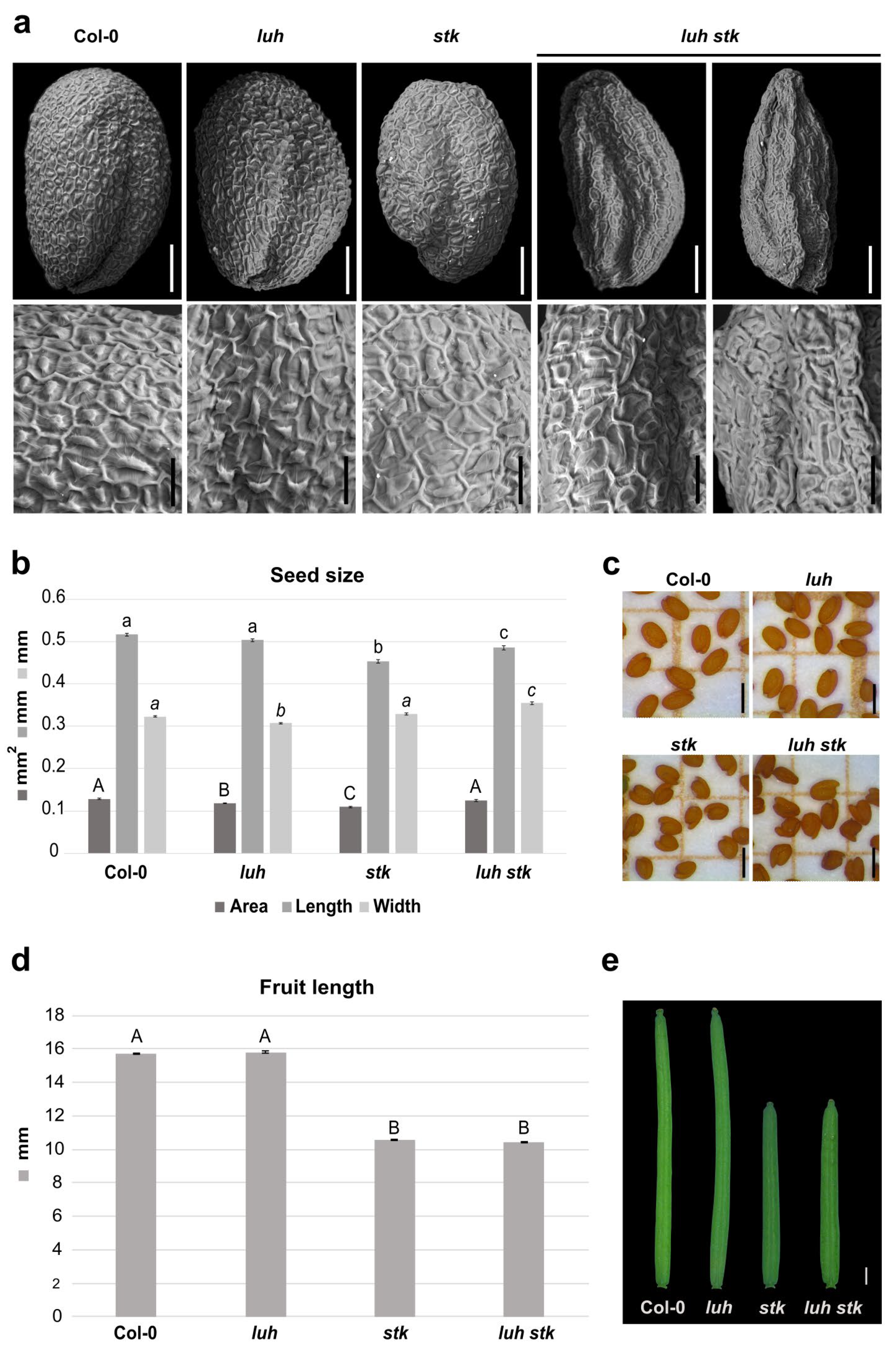 Plants 11 03146 g002