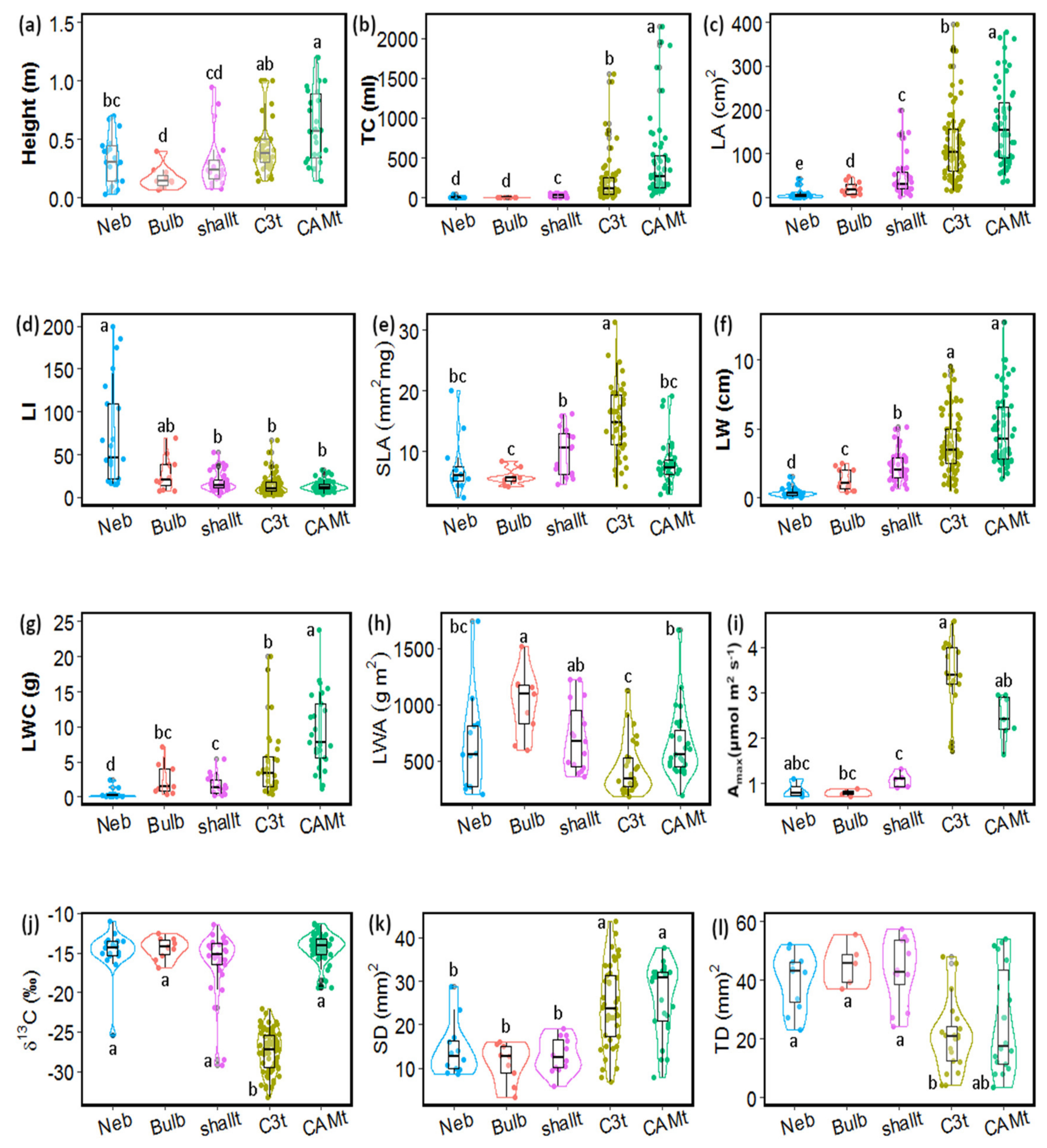 Plants 11 03151 g002