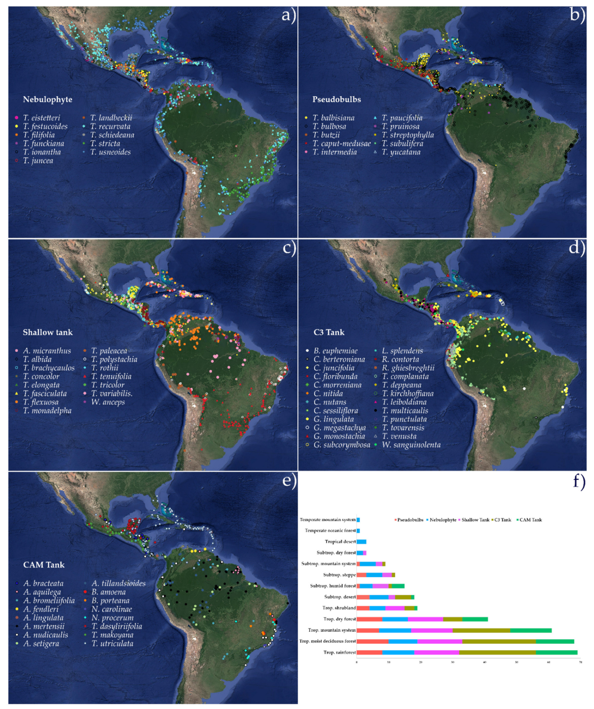 Plants 11 03151 g006
