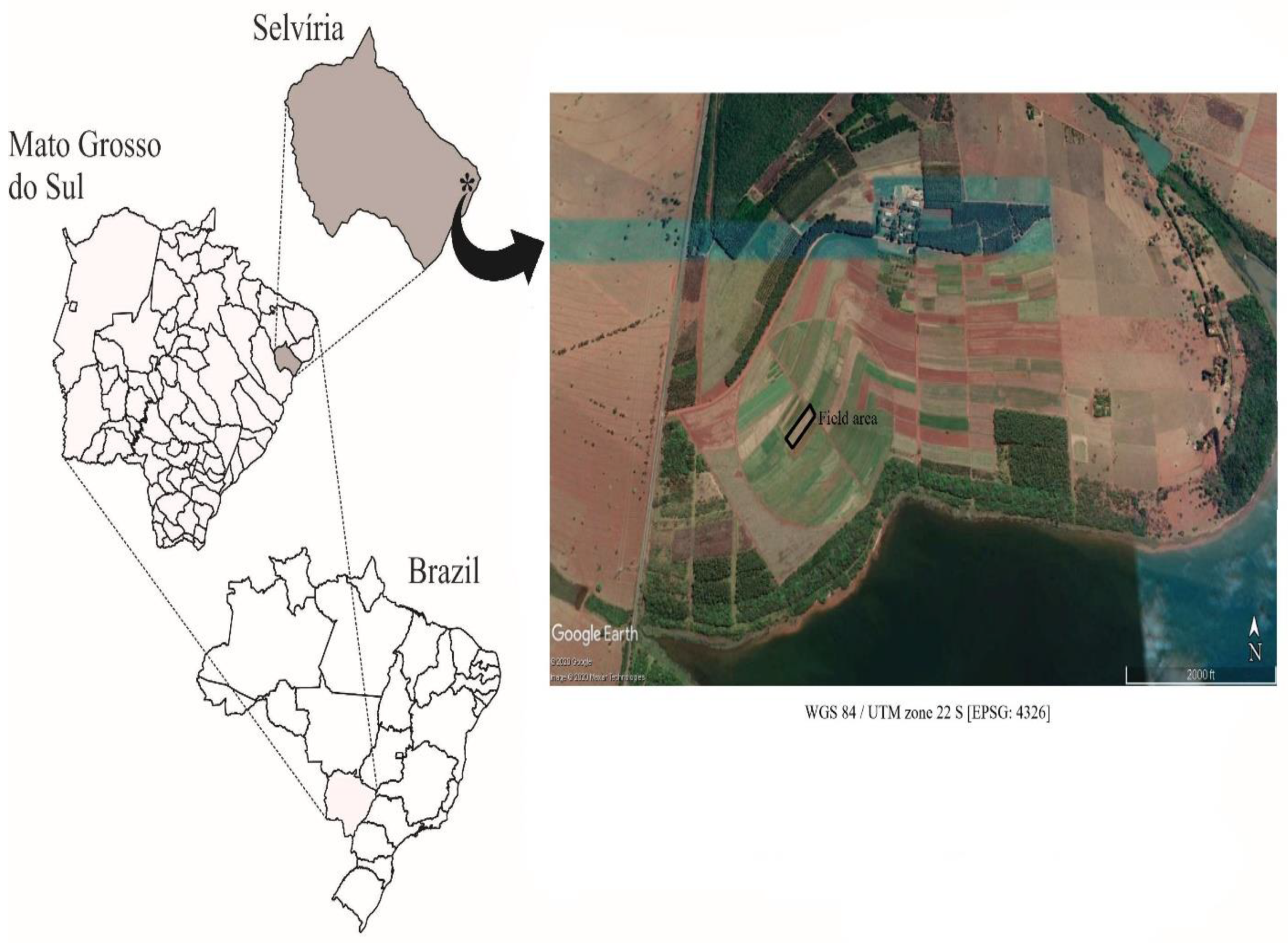 Plants 11 03154 g007