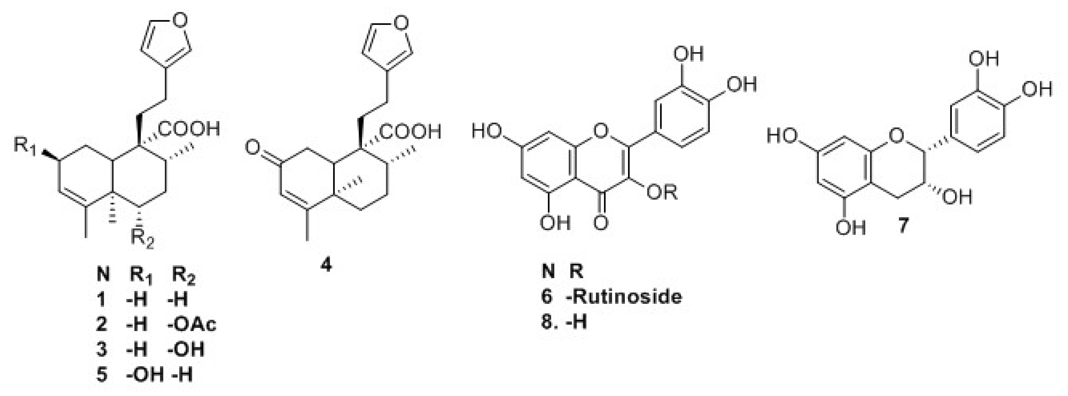 Plants 11 03159 g001