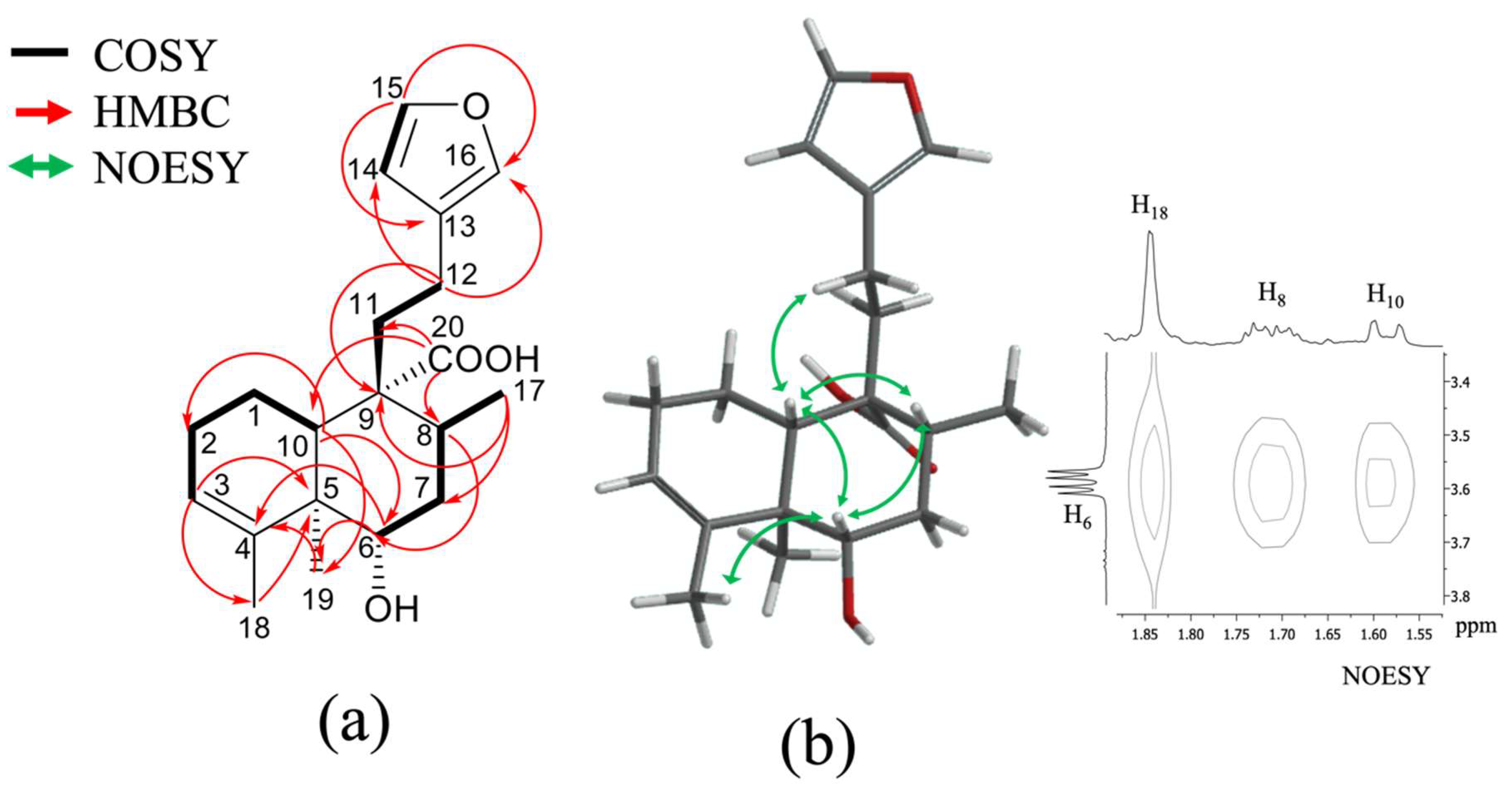Plants 11 03159 g003