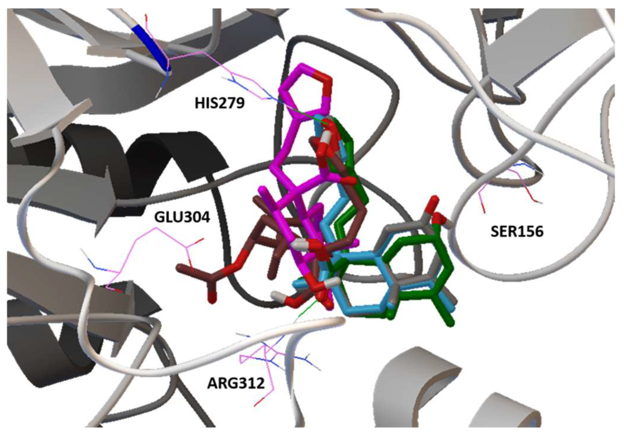 Plants 11 03159 g008