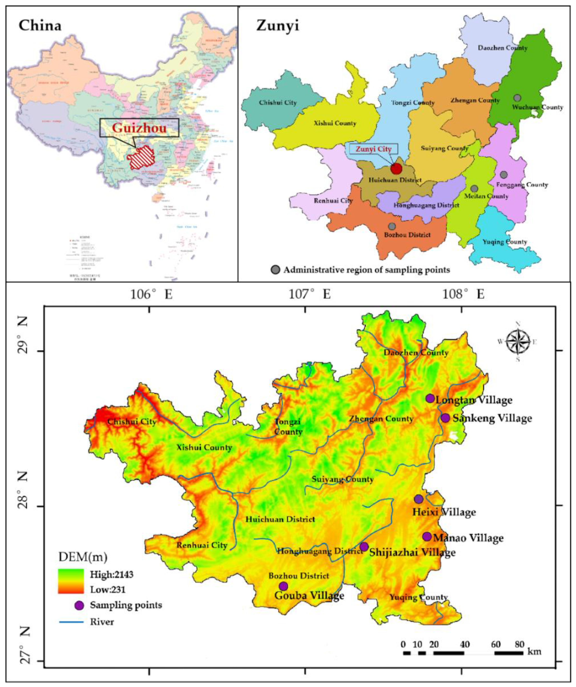 Plants 11 03161 g001