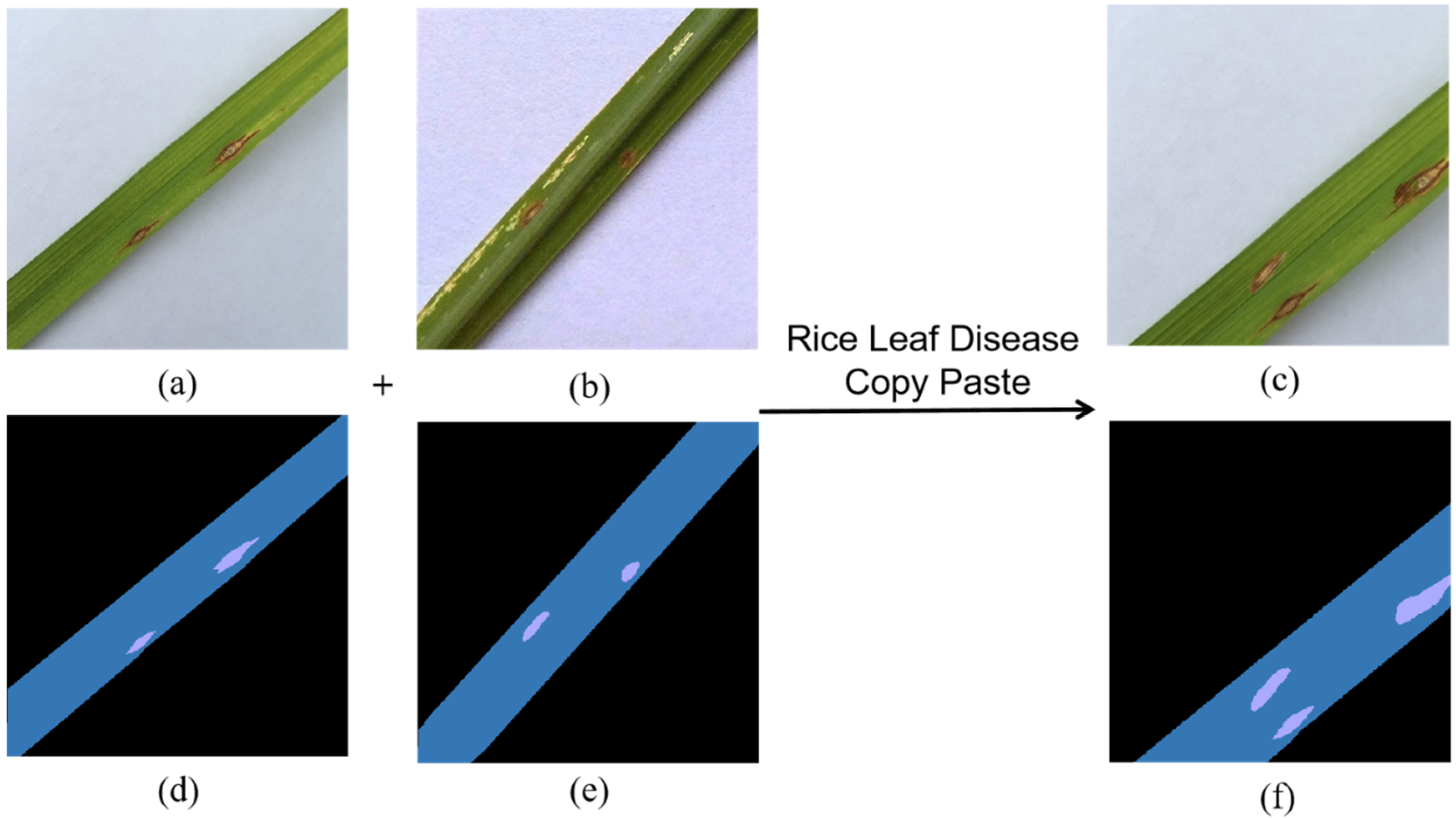 Plants 11 03174 g003