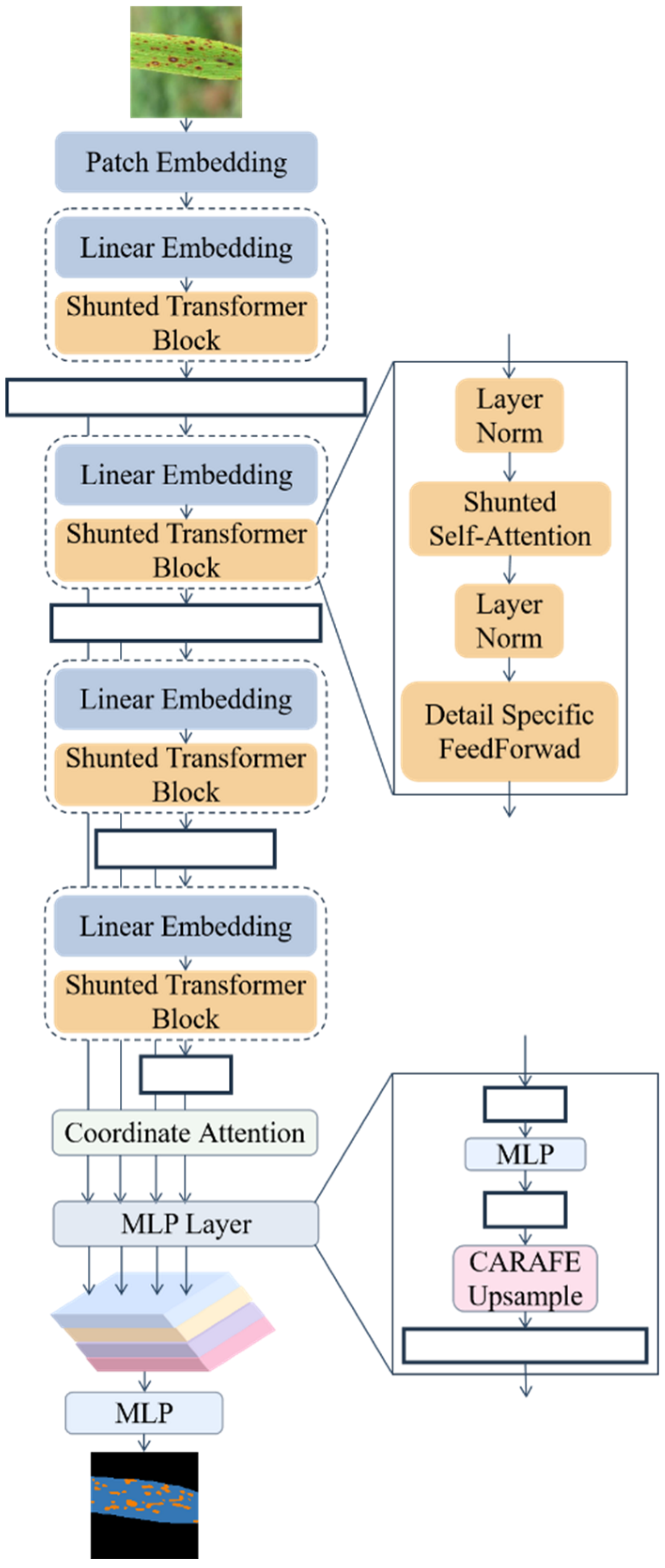 Plants 11 03174 g005