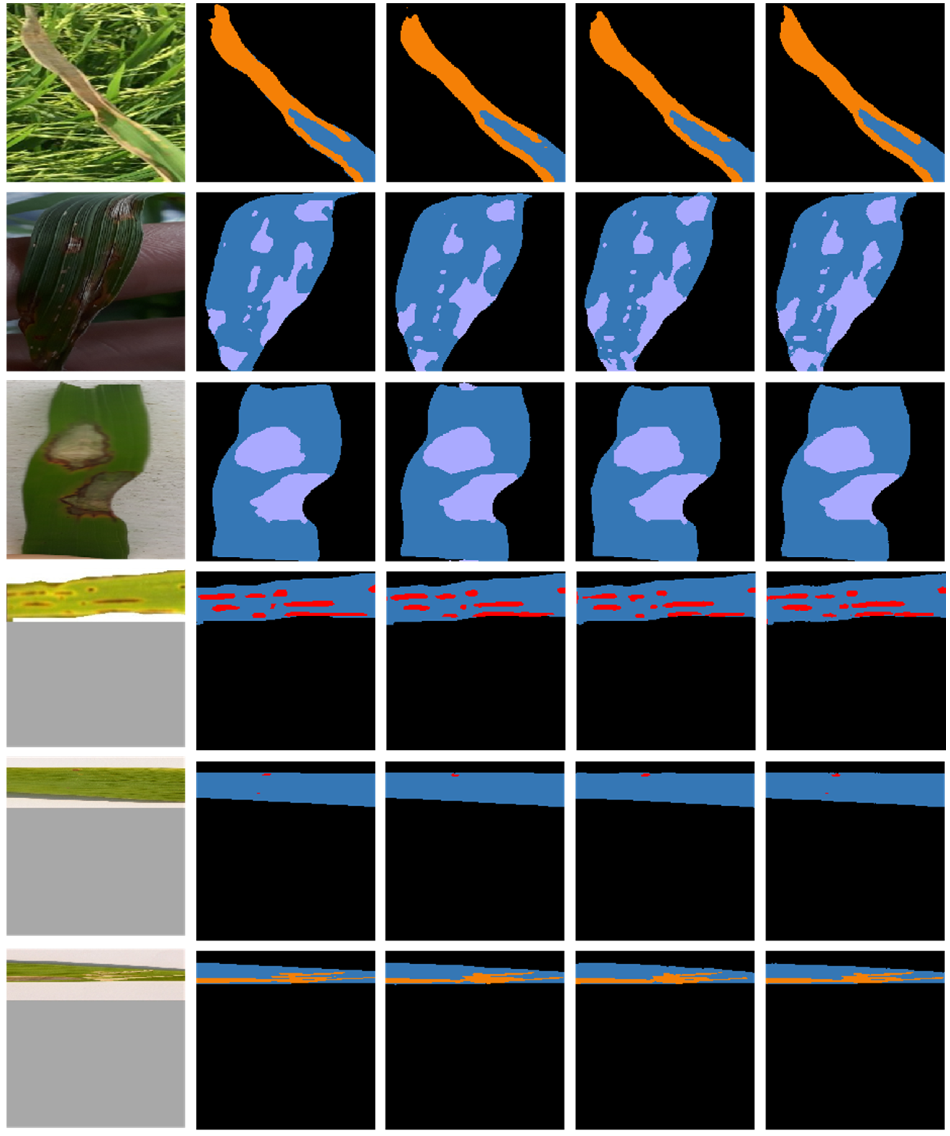 Plants 11 03174 g008