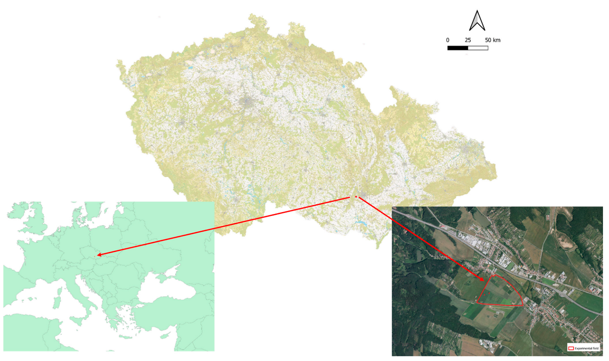 Plants 11 03177 g008