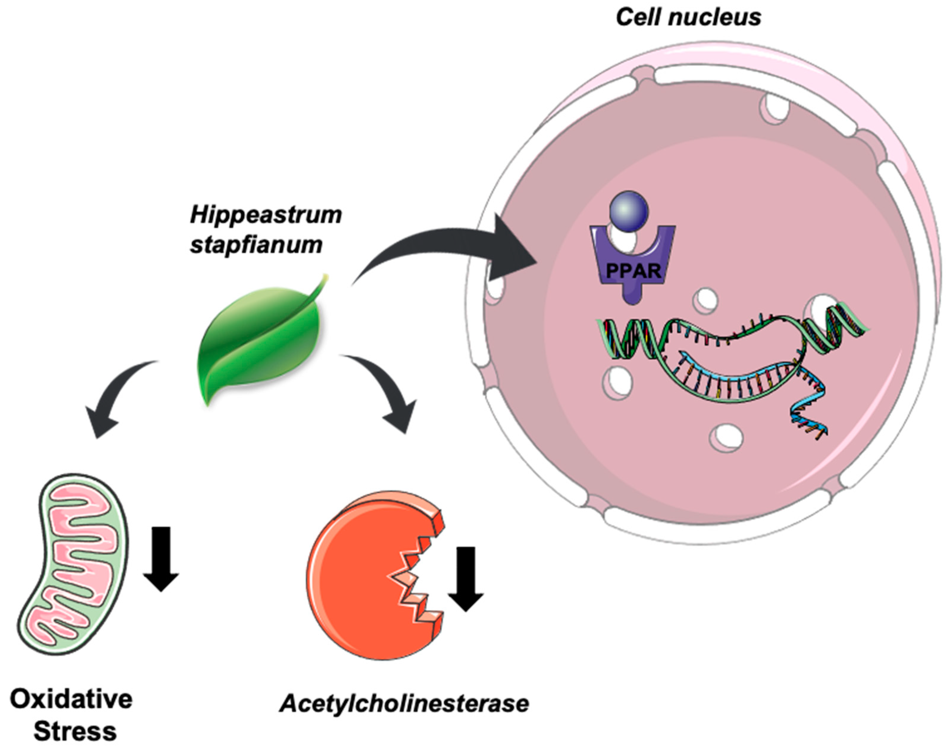 Plants 11 03179 g005 Plants 11 03179 g005