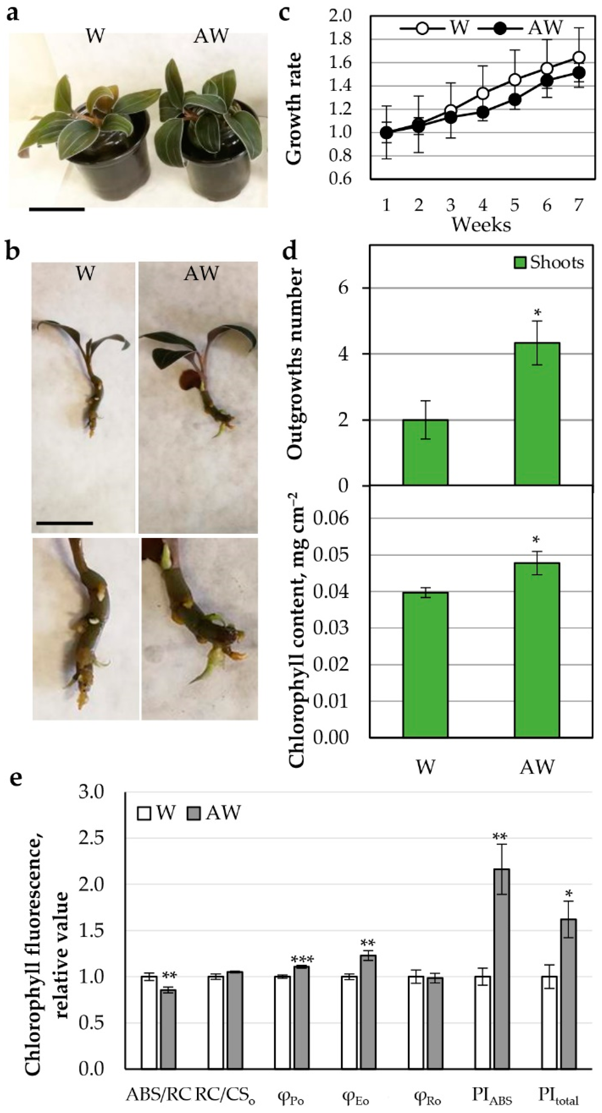 Plants 11 03181 g002