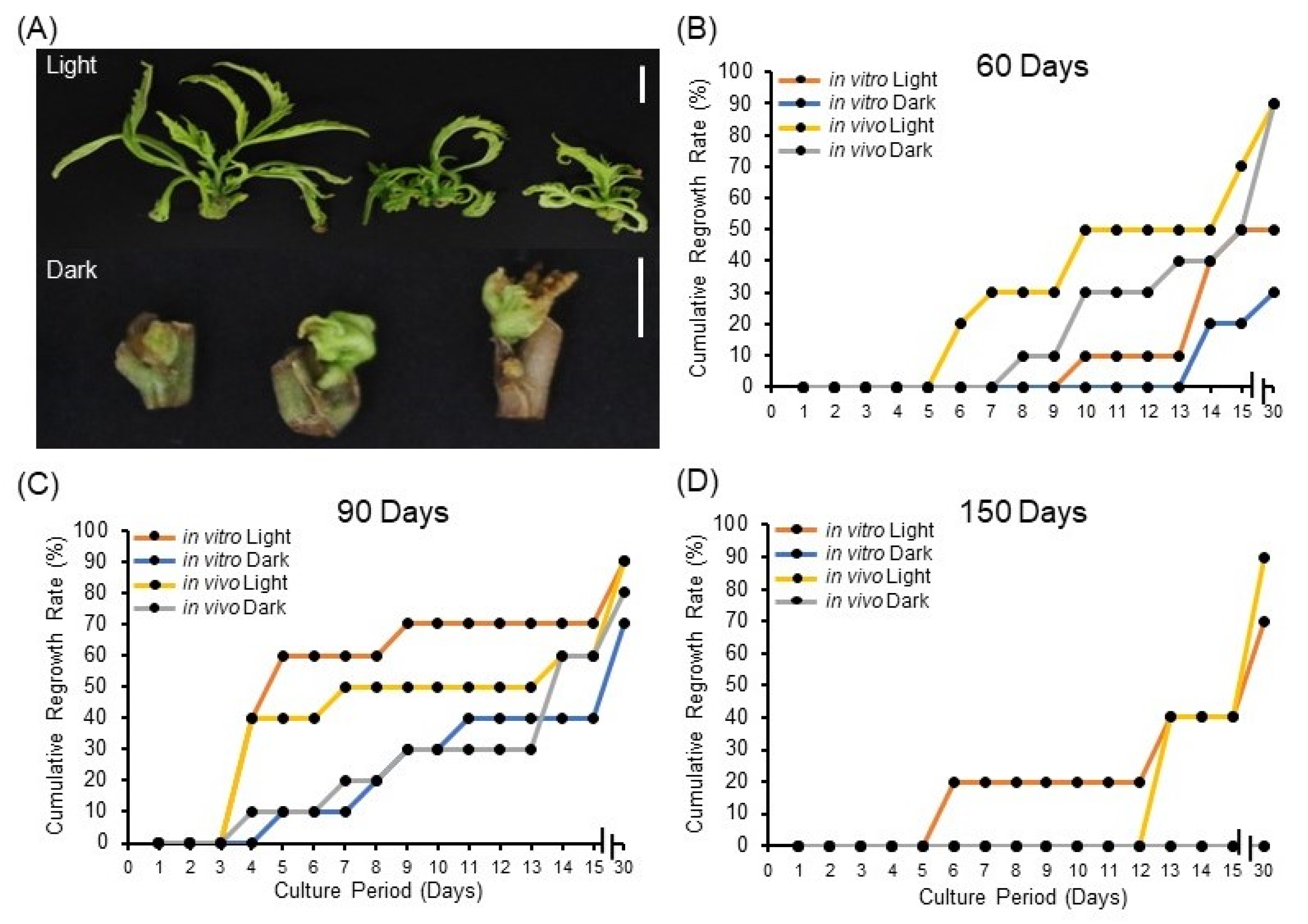 Plants 11 03186 g002