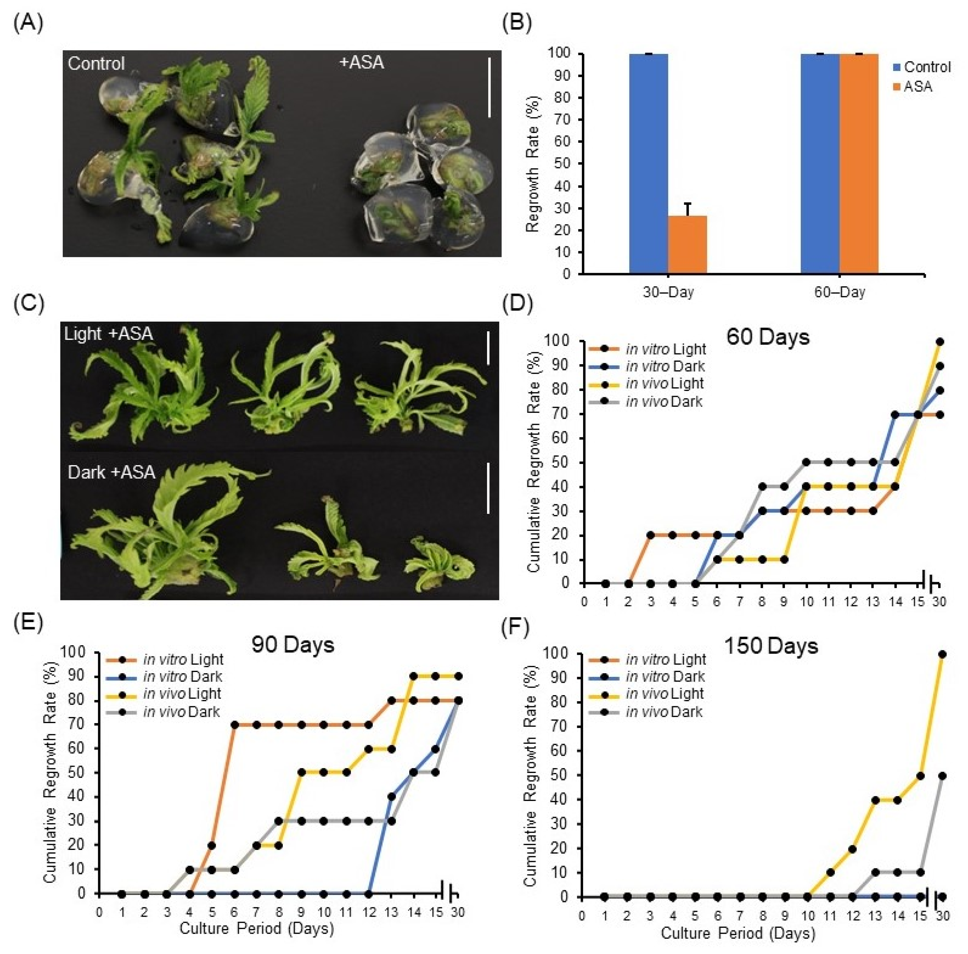 Plants 11 03186 g003