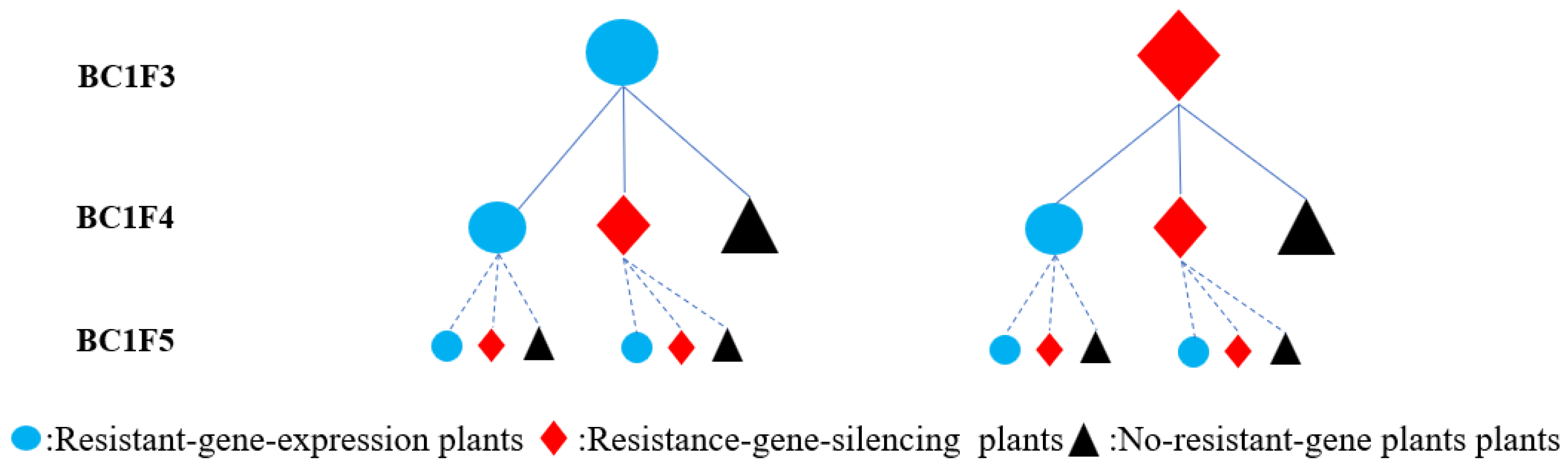 Plants 11 03187 ch001