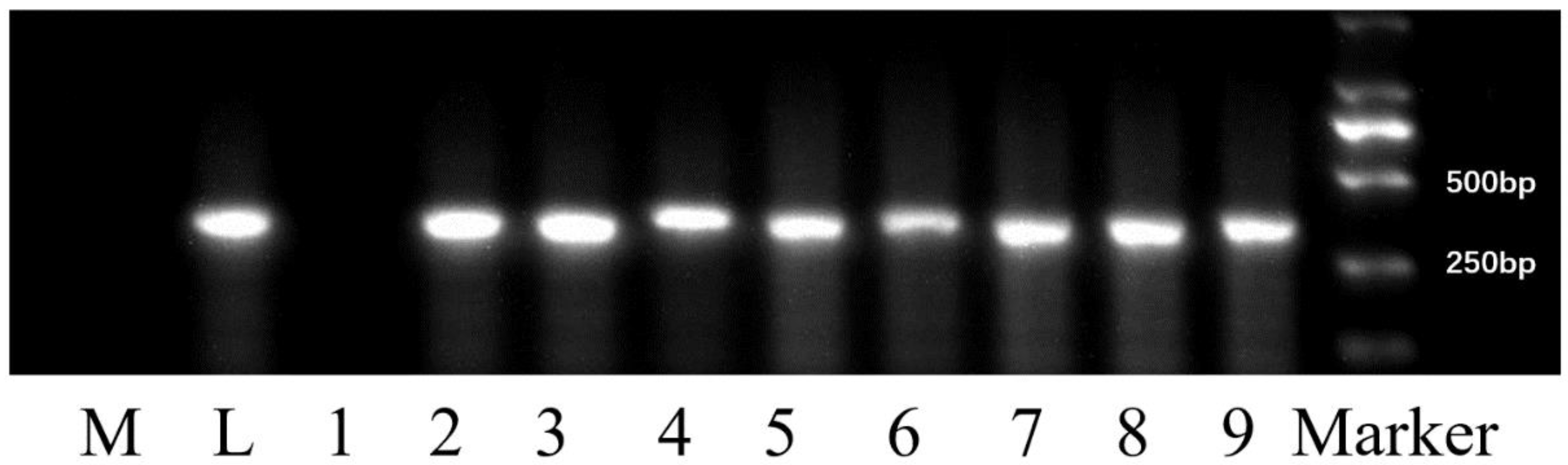 Plants 11 03187 g001