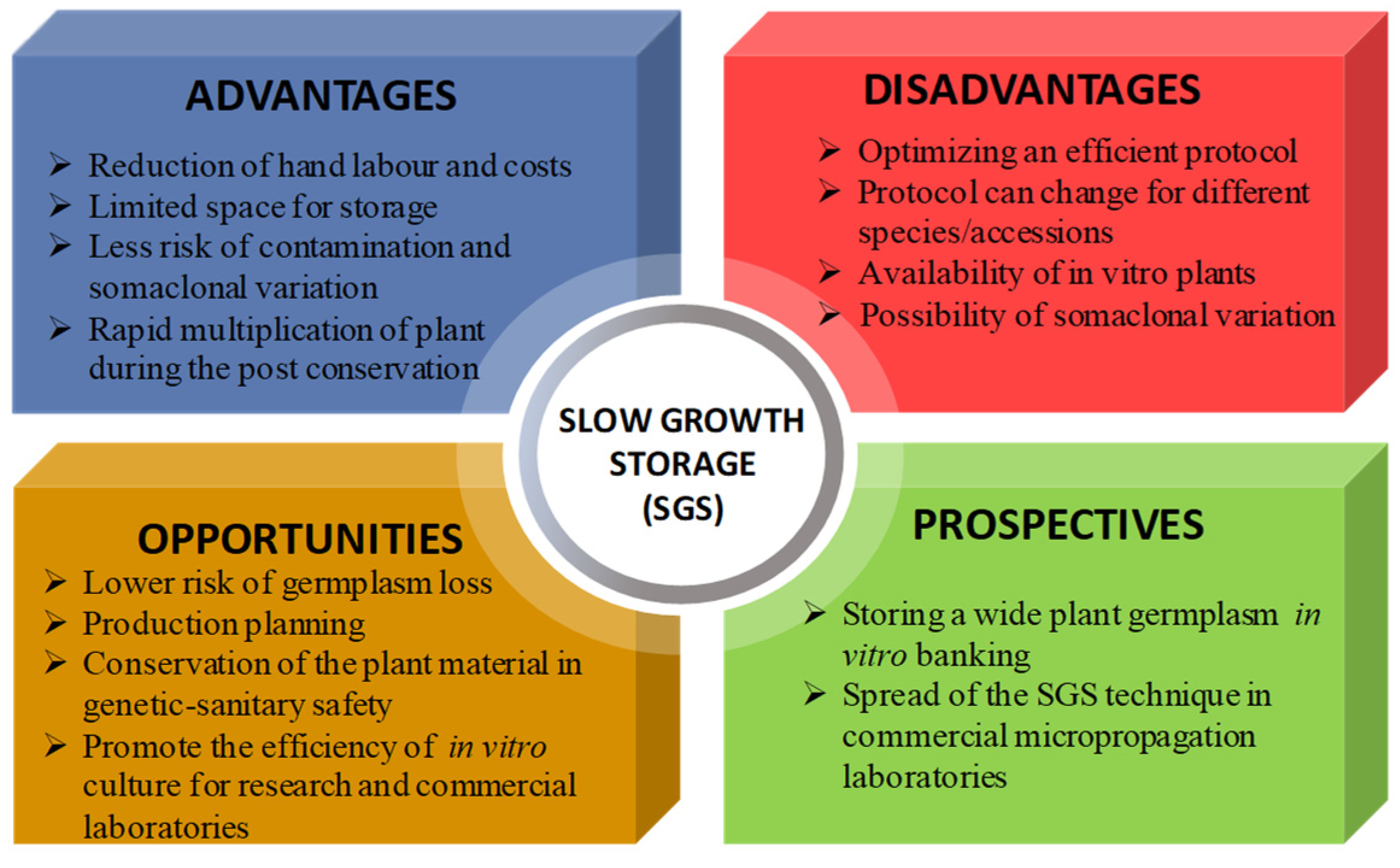 Plants 11 03188 g002 Plants 11 03188 g002