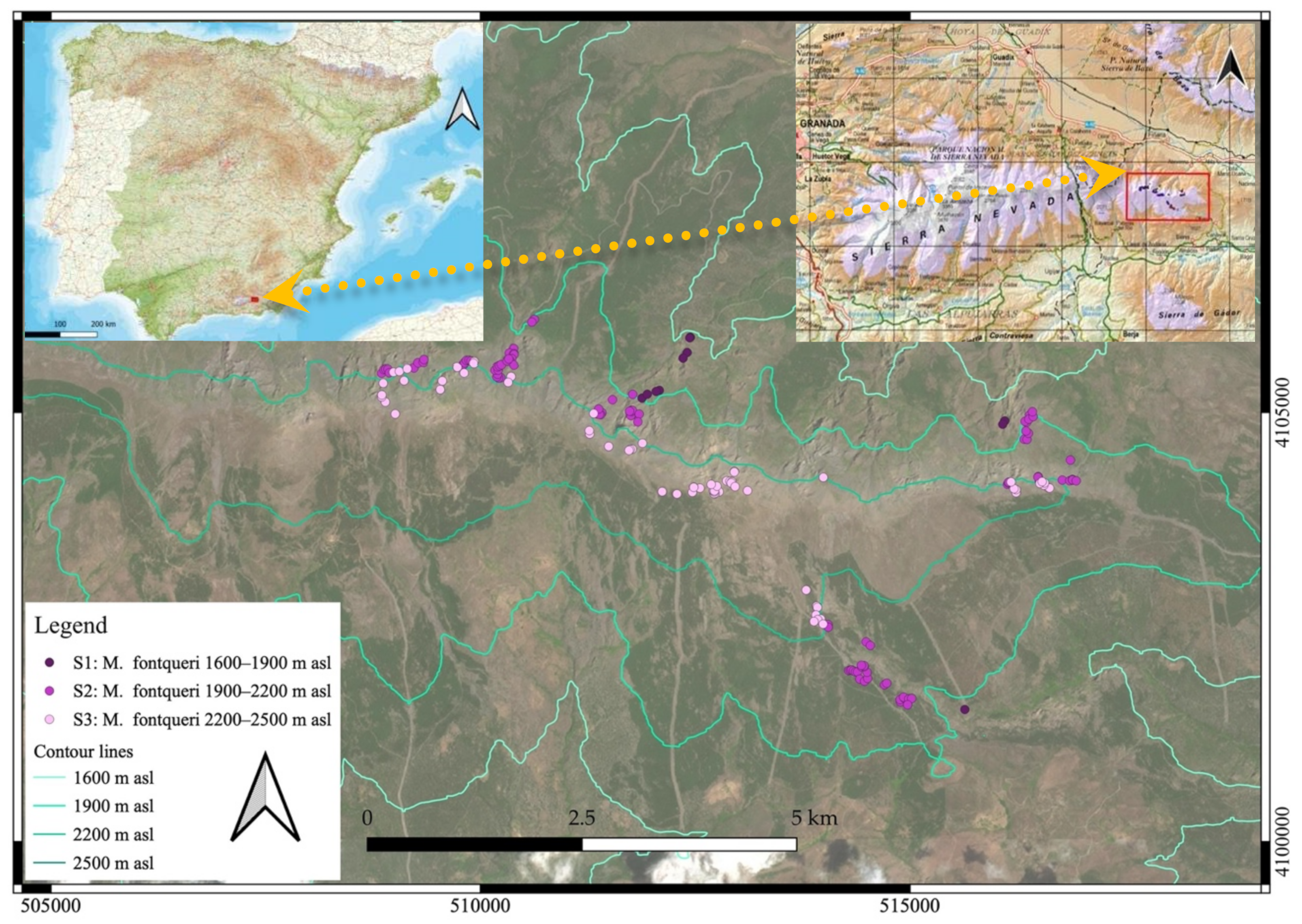 Plants 11 03193 g006