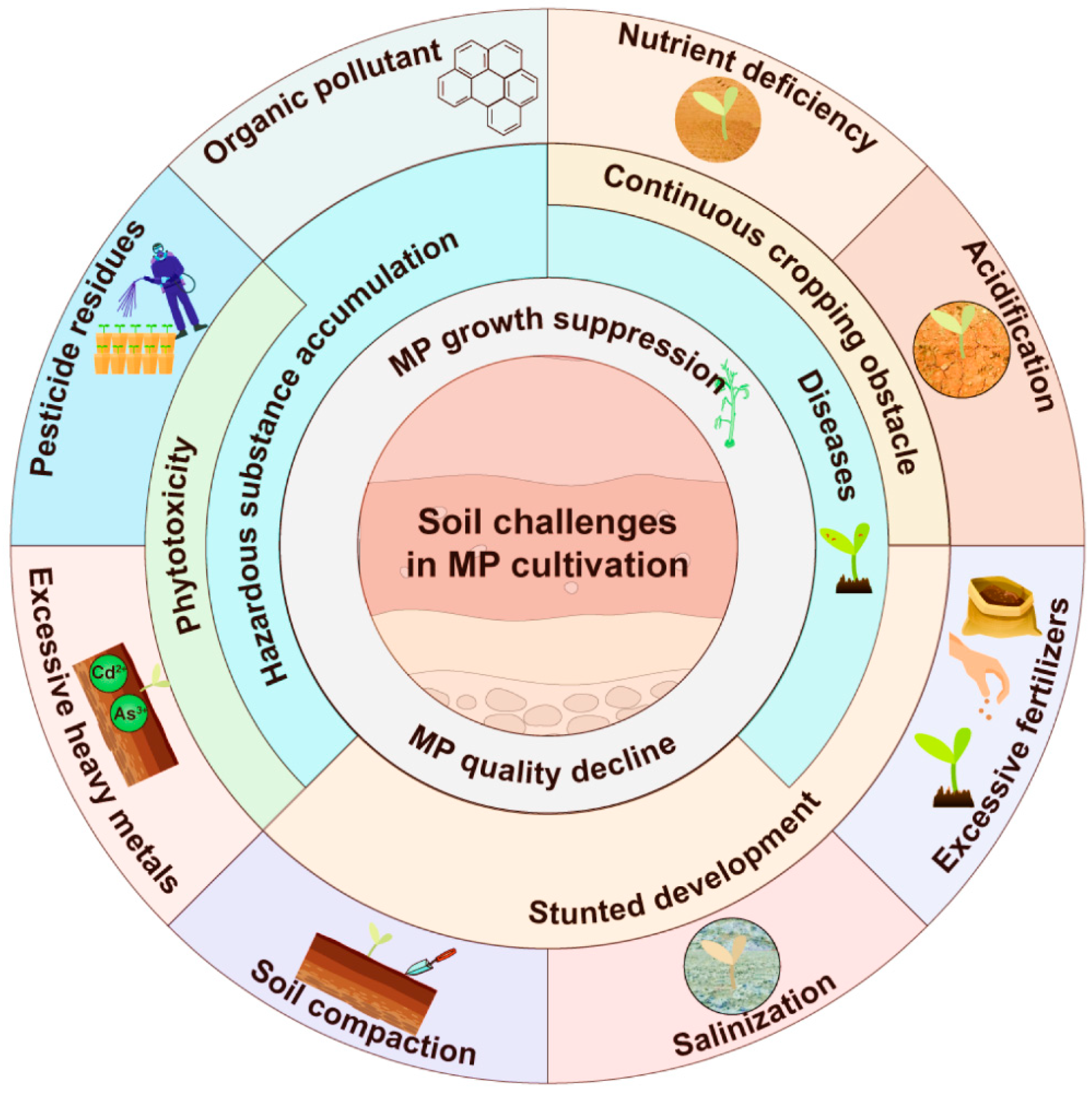 Plants 11 03200 g002