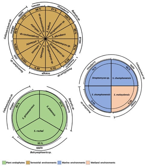 Plants 11 03201 g004