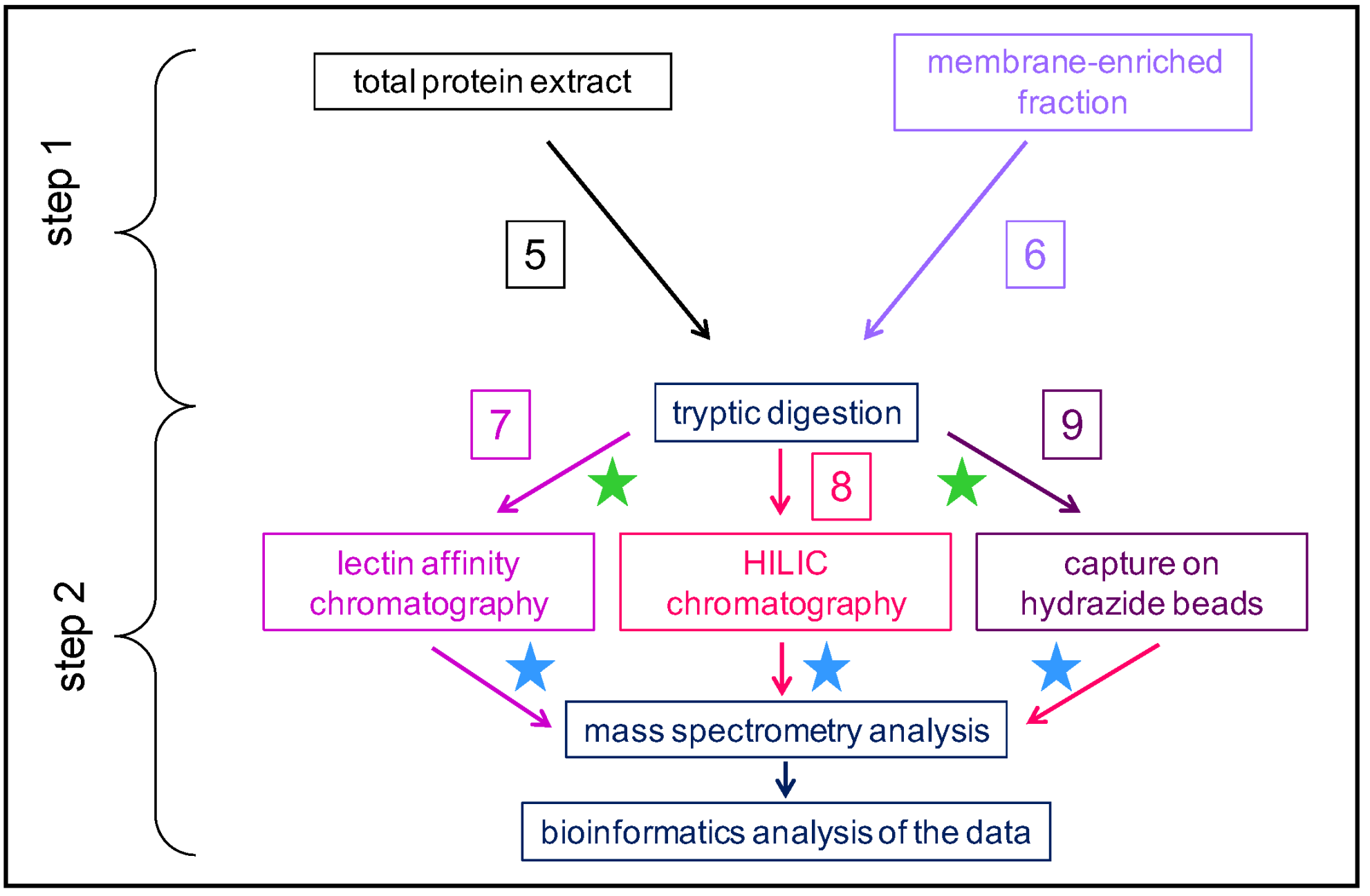 Plants 11 03204 g003