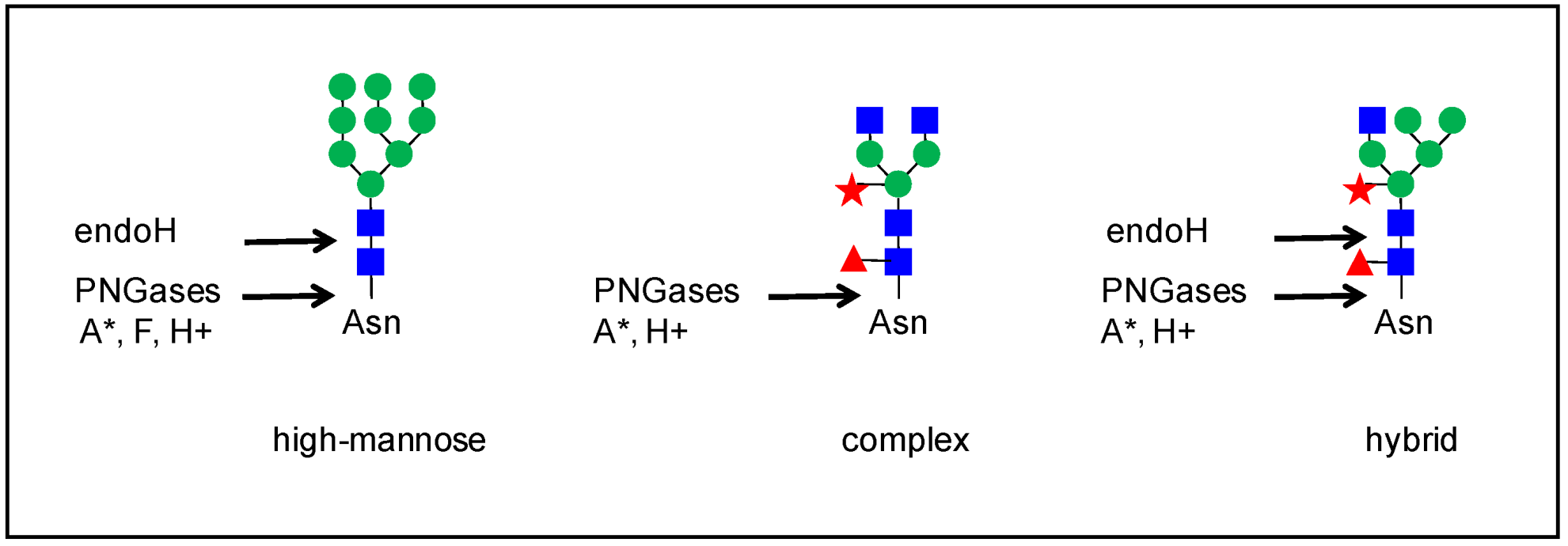 Plants 11 03204 g004
