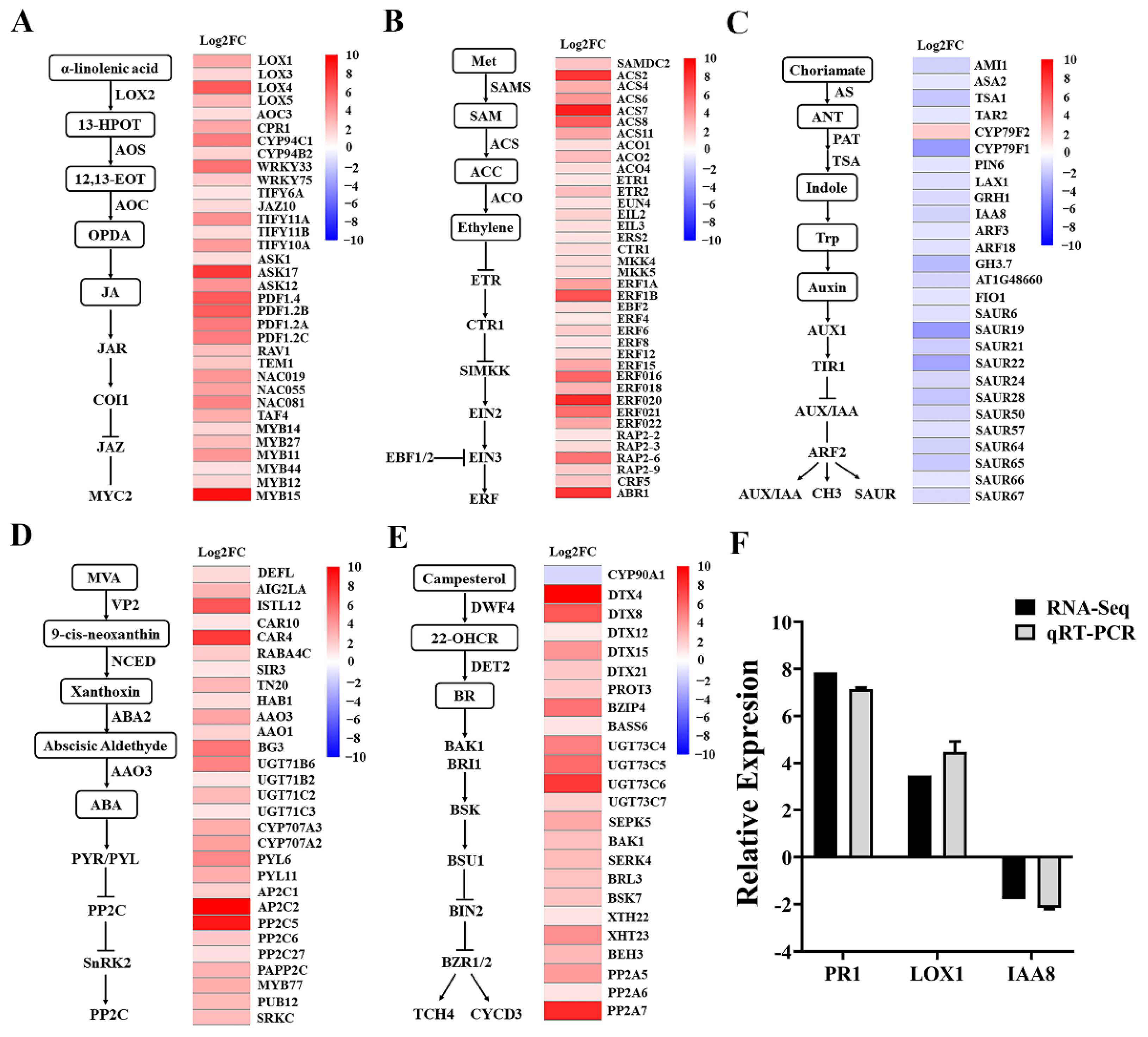 Plants 11 03205 g006 Plants 11 03205 g006