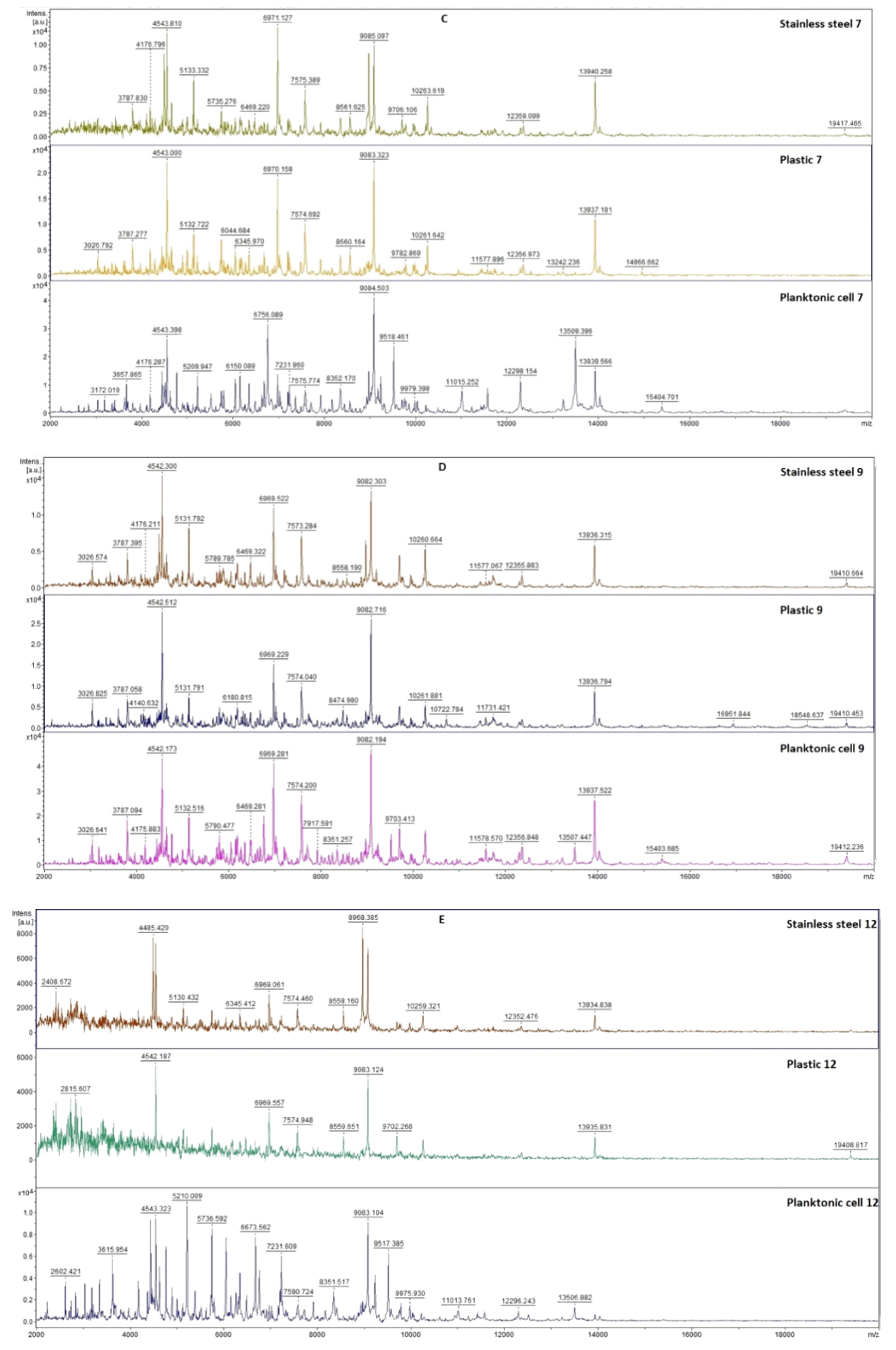 Plants 11 03213 g005b