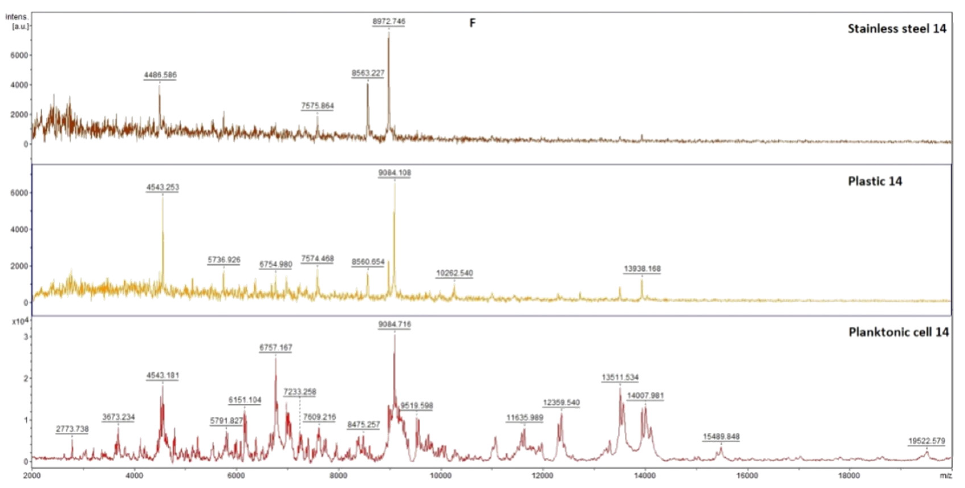 Plants 11 03213 g005c