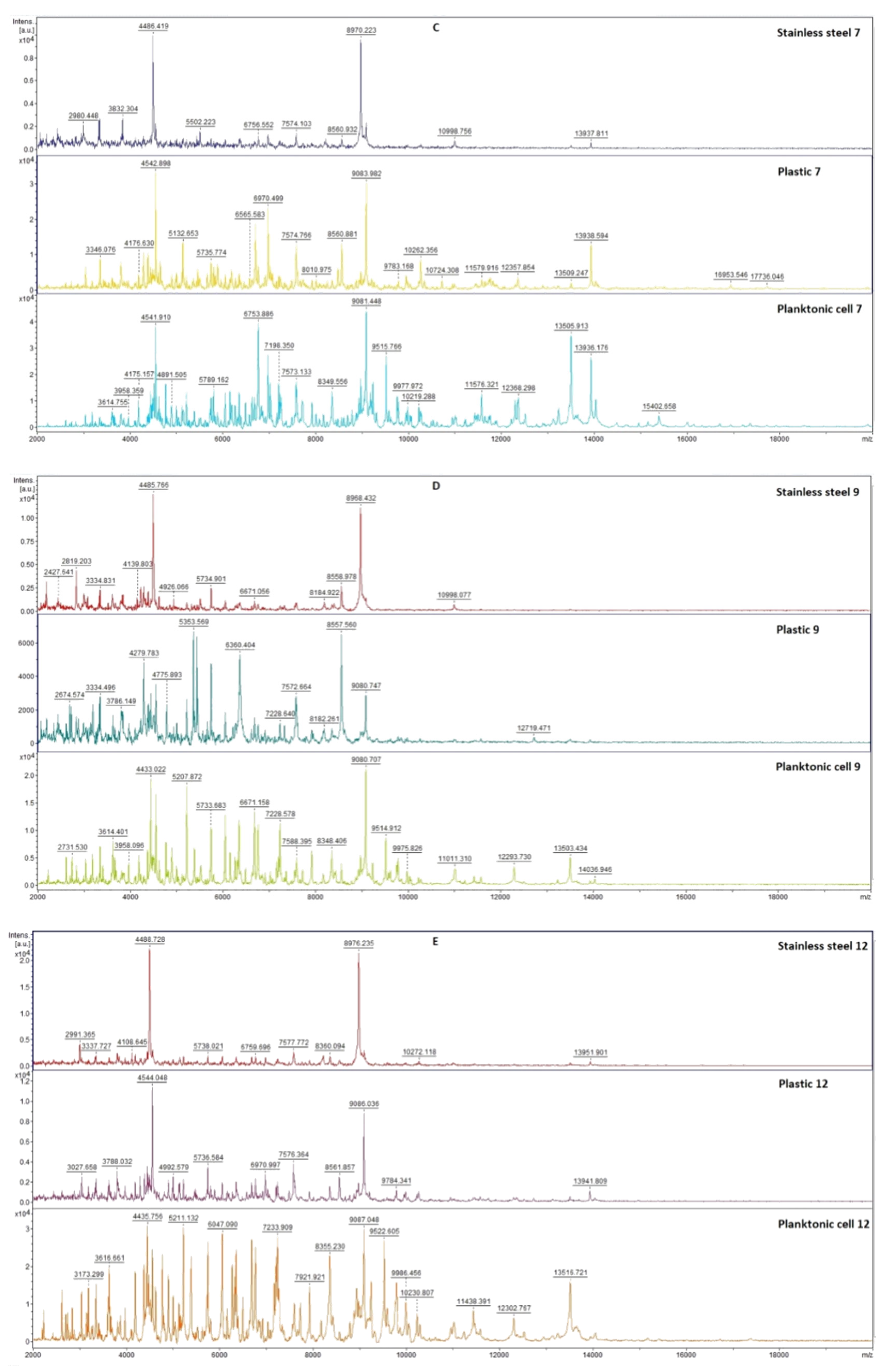 Plants 11 03213 g007b