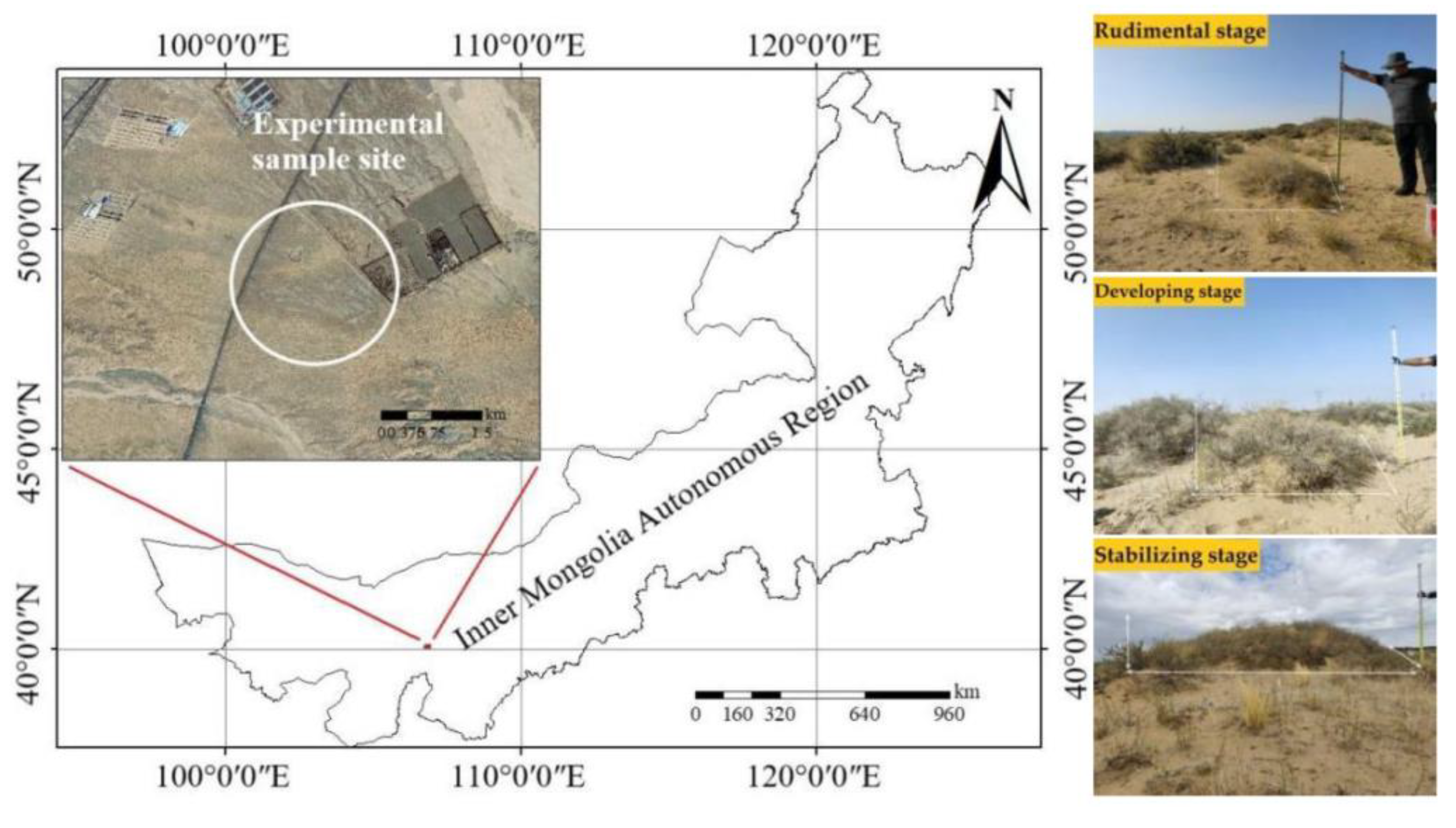 Plants 11 03218 g005 Plants 11 03218 g005