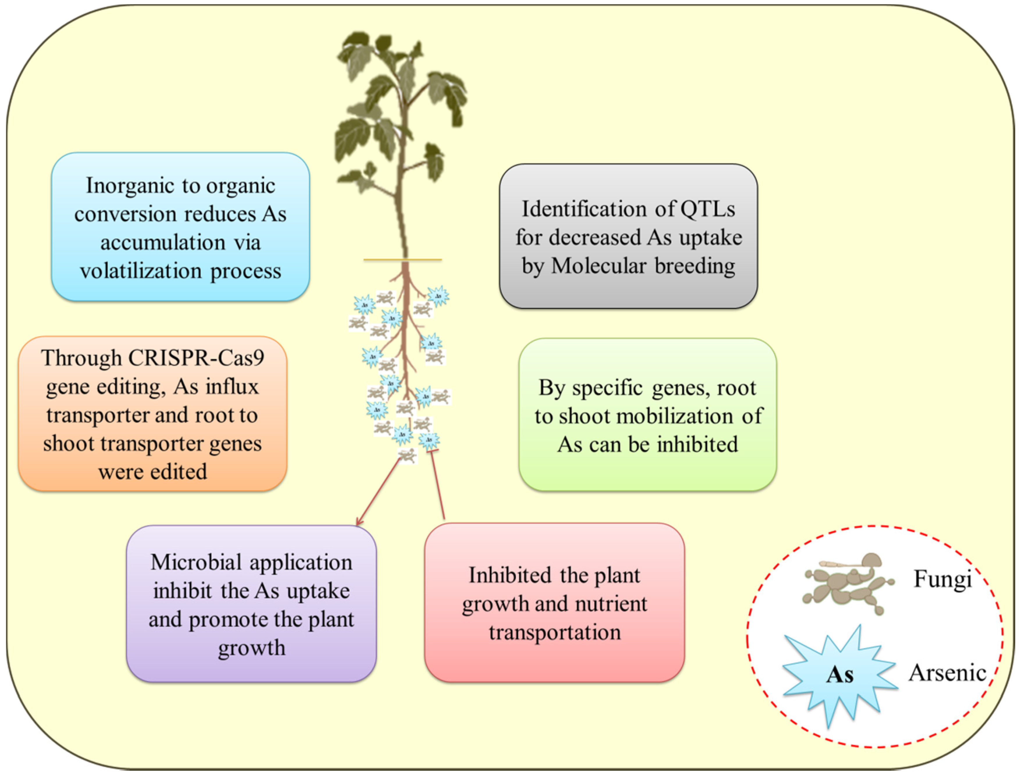 Plants 11 03220 g003