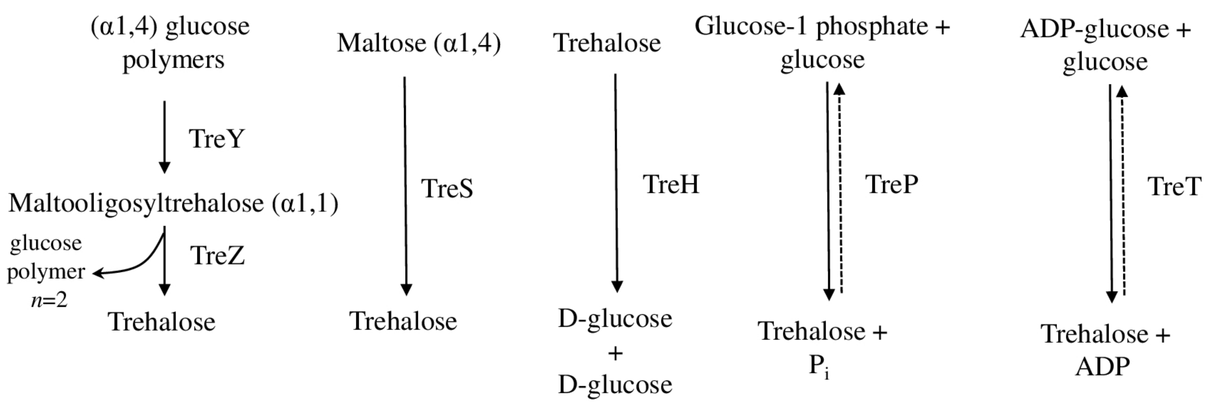 Plants 11 03225 g002